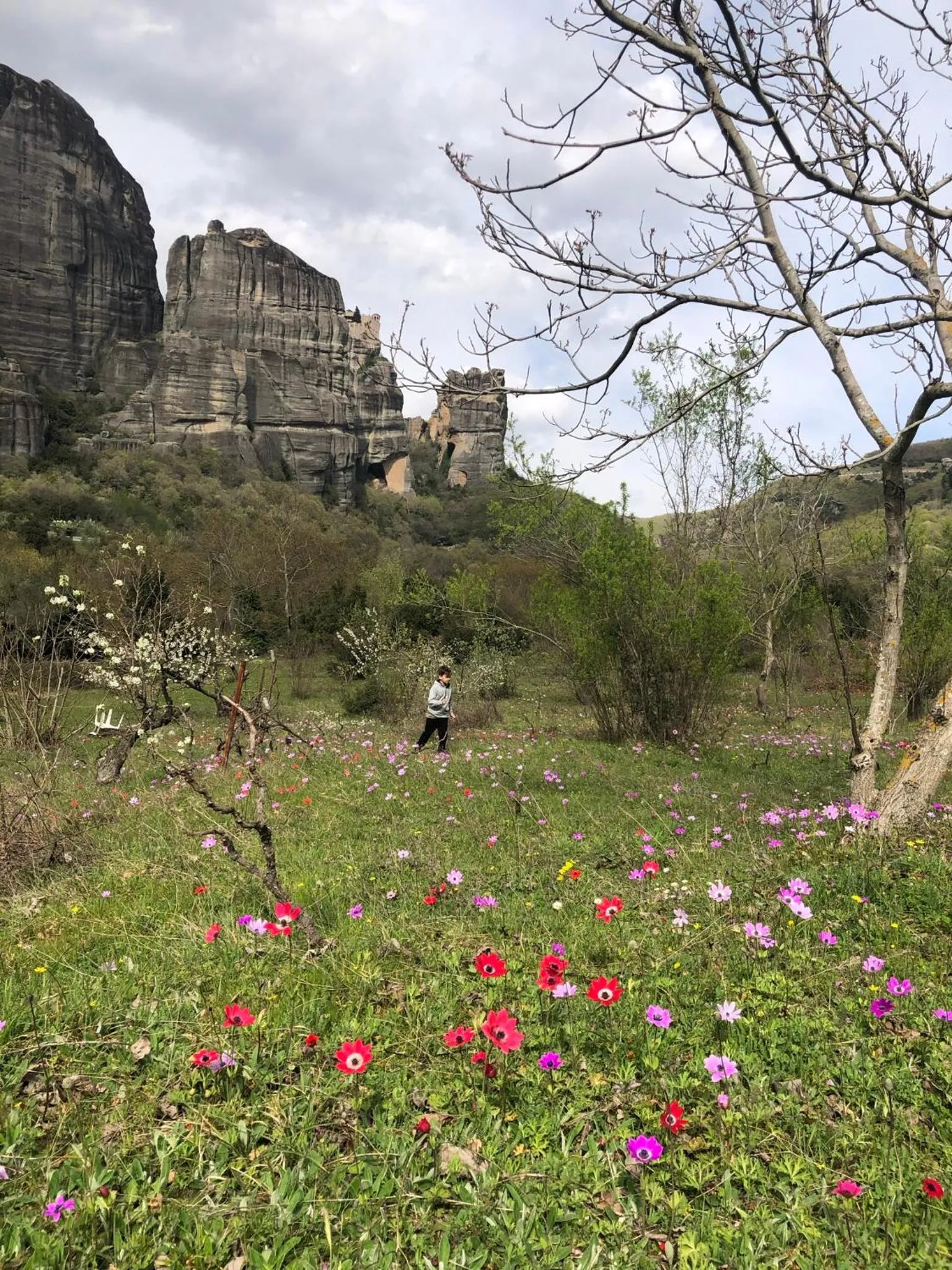 Landmark view in Archontiko Mesohori Meteora