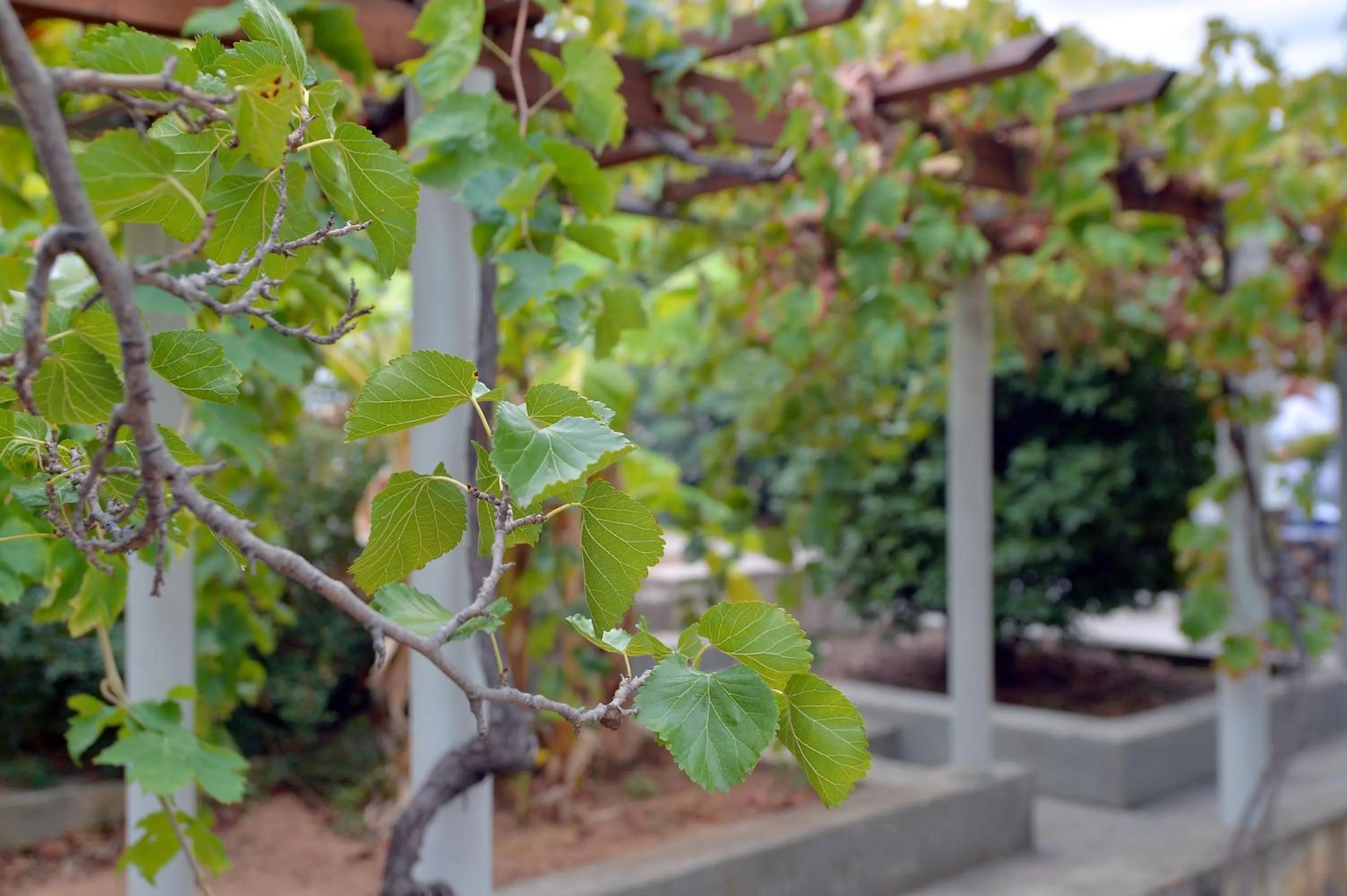 Bedroom in Vasilaras Hotel