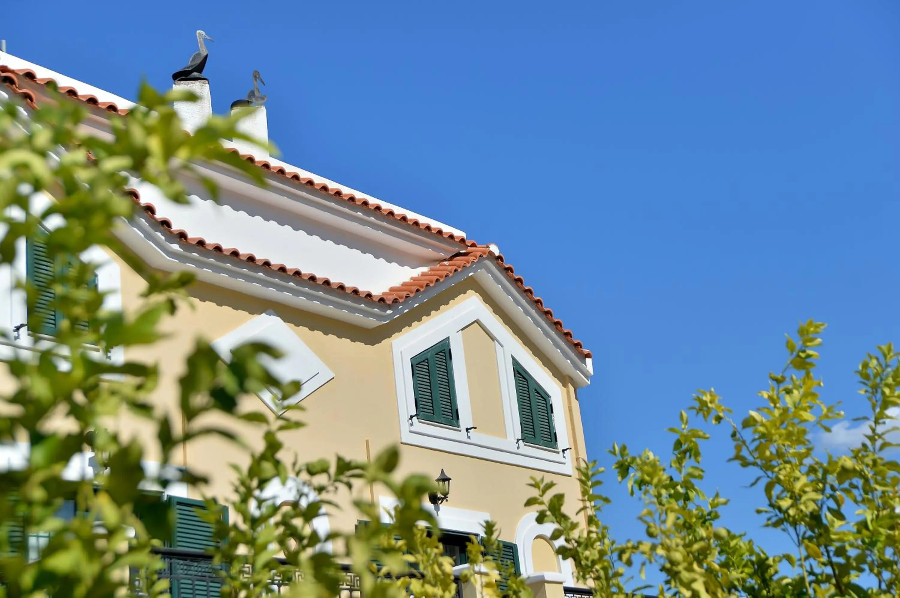 Property building in Vasilaras Hotel