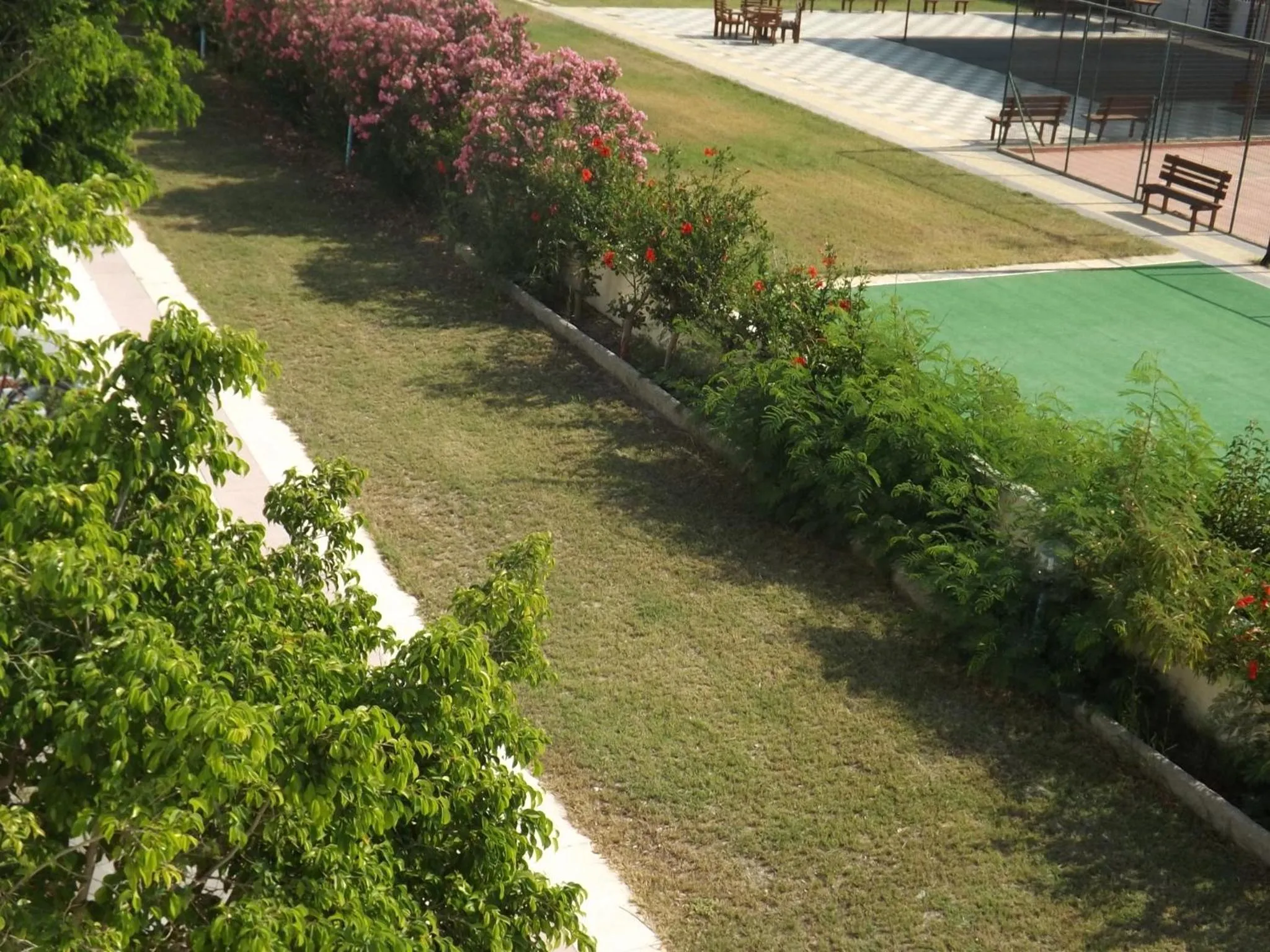 Garden in Leonidas Hotel & Studios