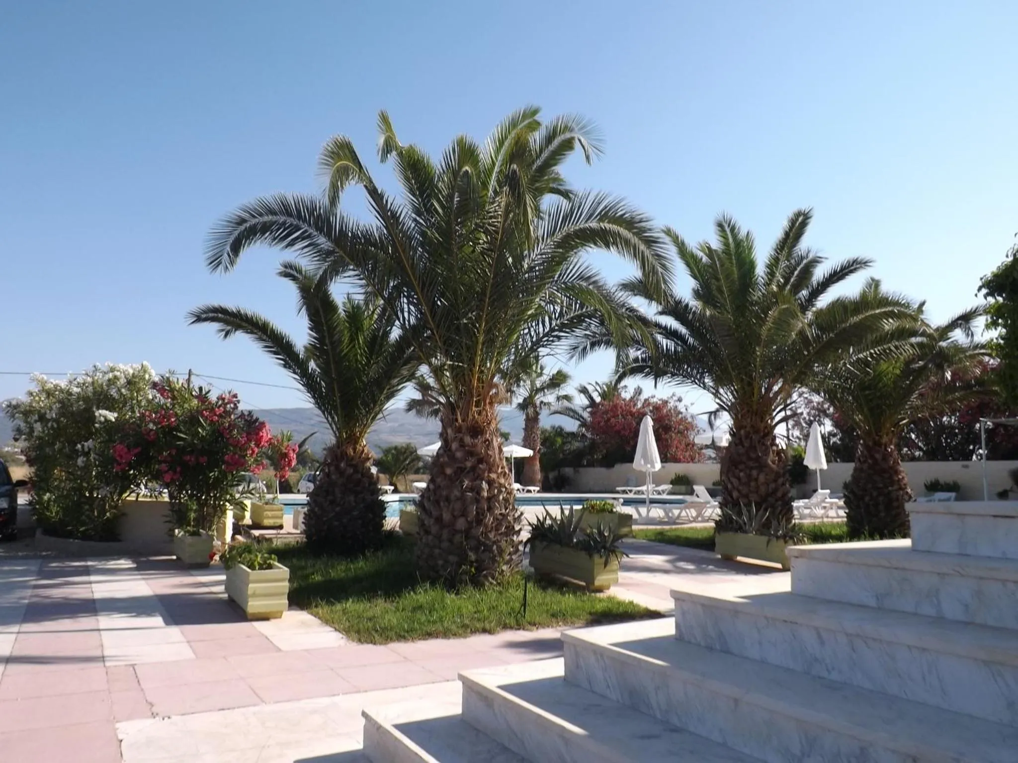 Garden in Leonidas Hotel & Studios
