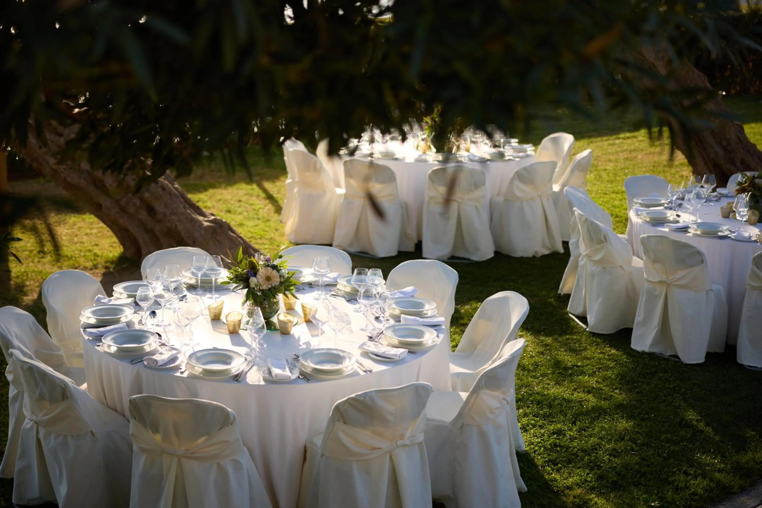 wedding in Domotel Xenia Volos