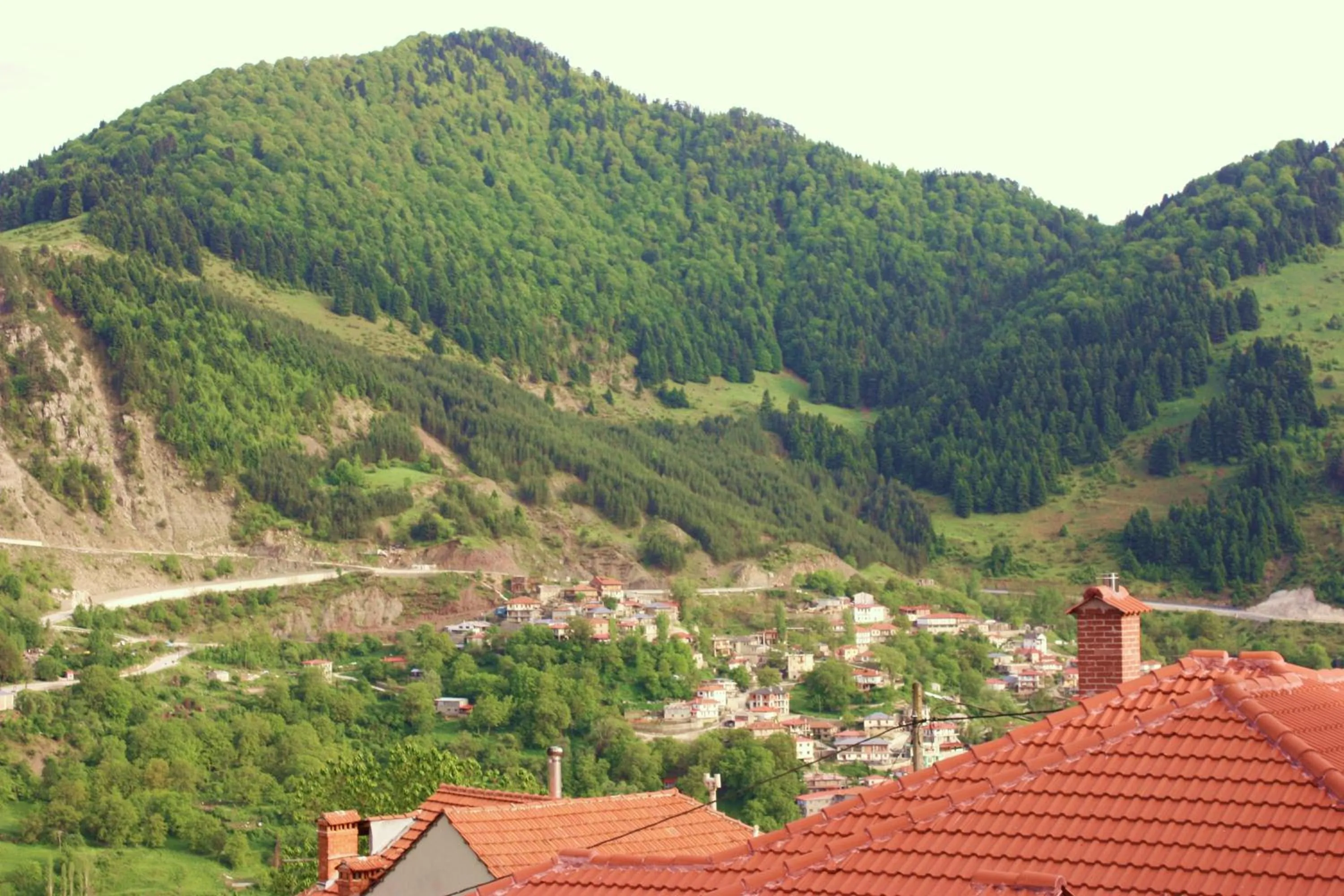 View (from property/room) in Archontiko Metsovou Luxury Boutique Spa Hotel