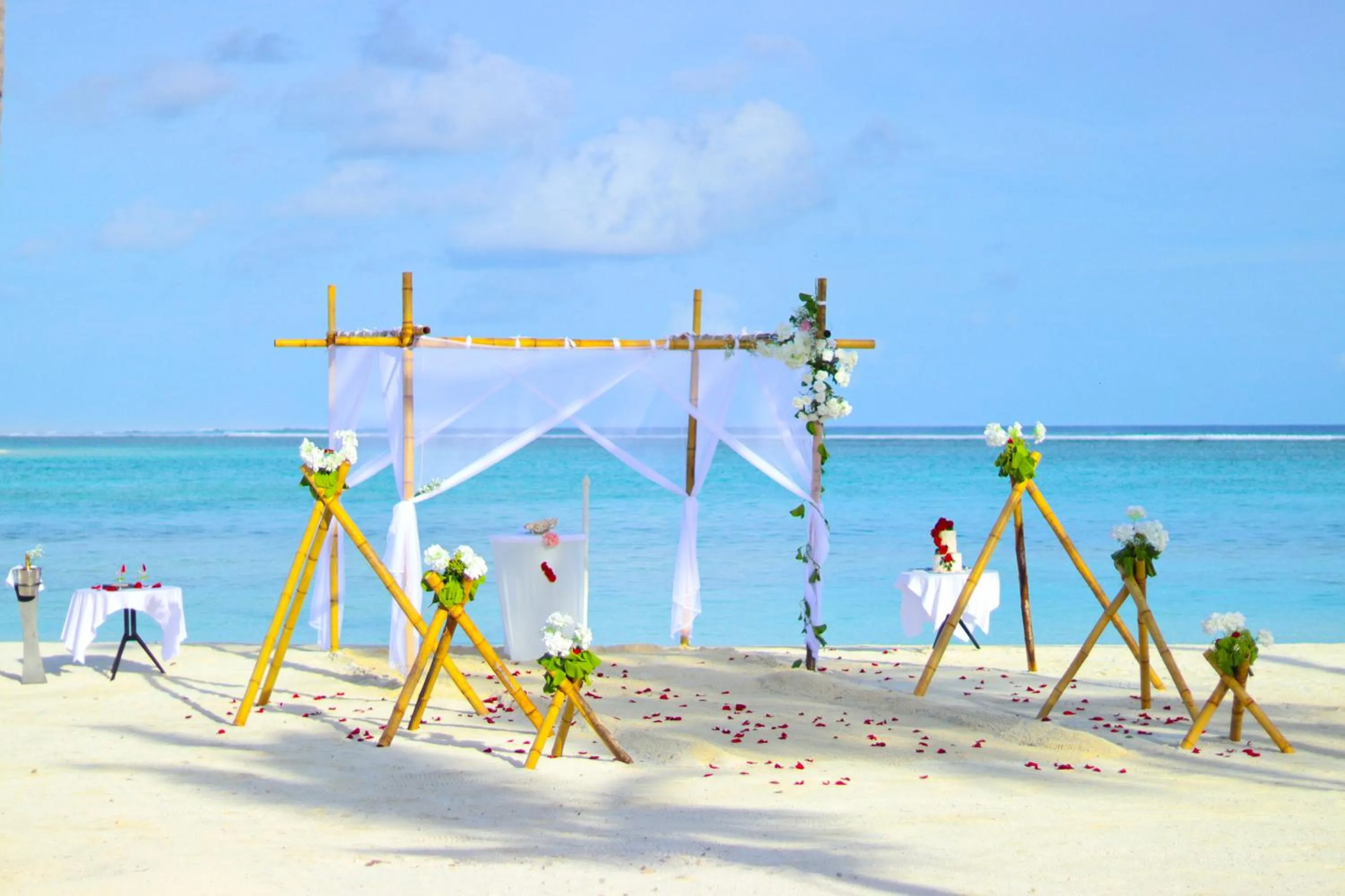 wedding in Barceló Whale Lagoon Maldives