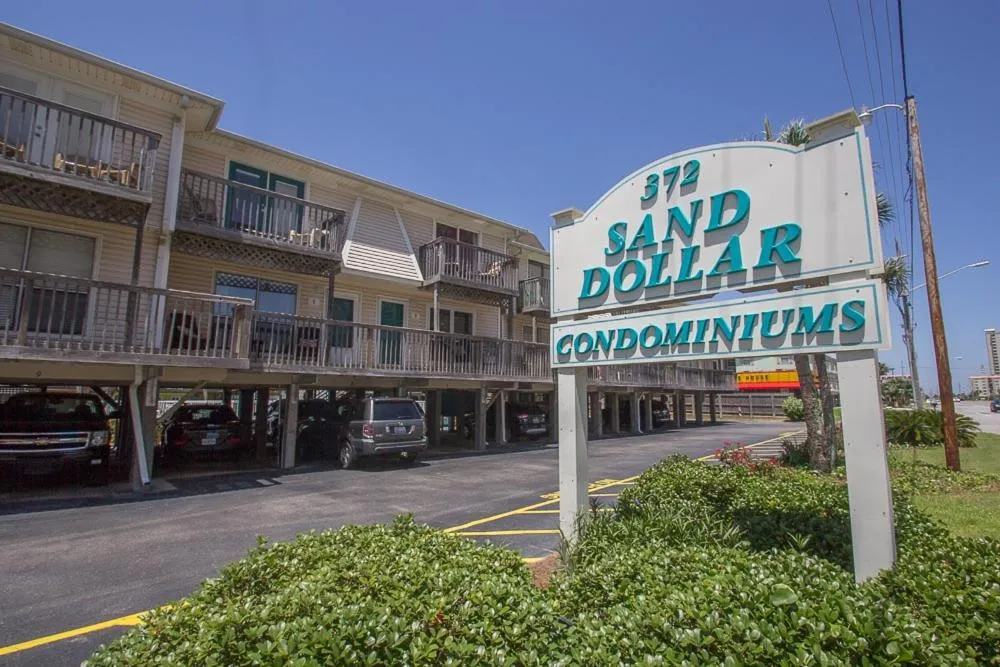 Sand Dollar 28 by Youngs Suncoast