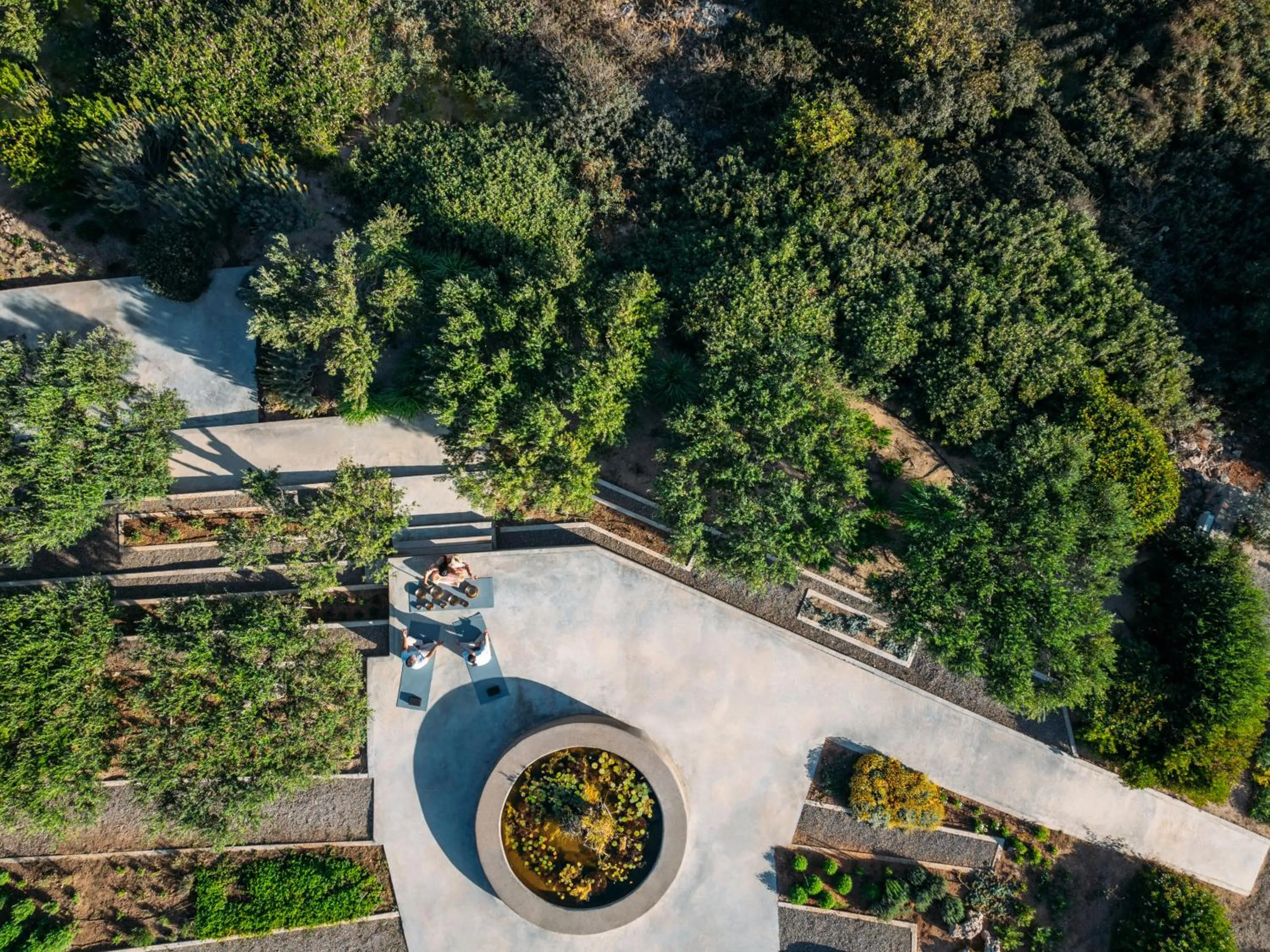 Garden in Minos Palace Resort - Adults Only