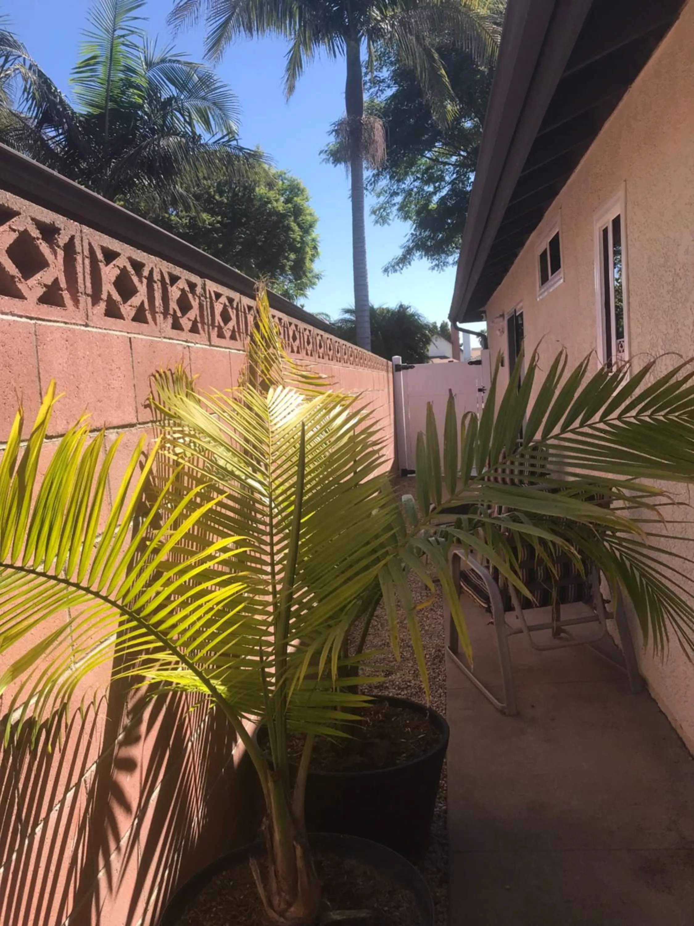 Garden in Romantic Coastal Private Room