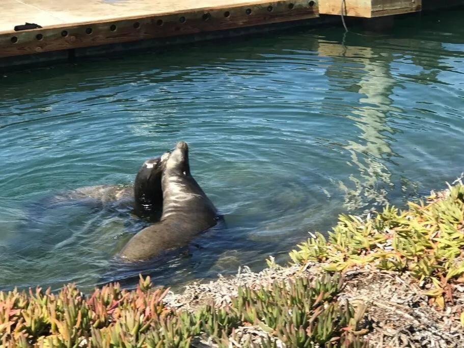 Day in Romantic Coastal Private Room