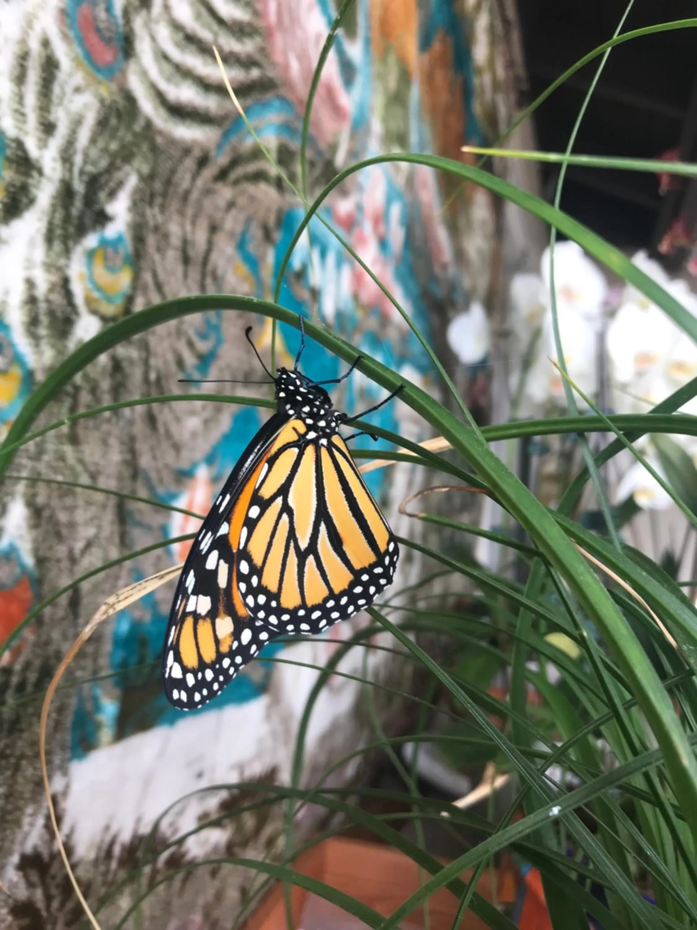 Day in Romantic Coastal Private Room