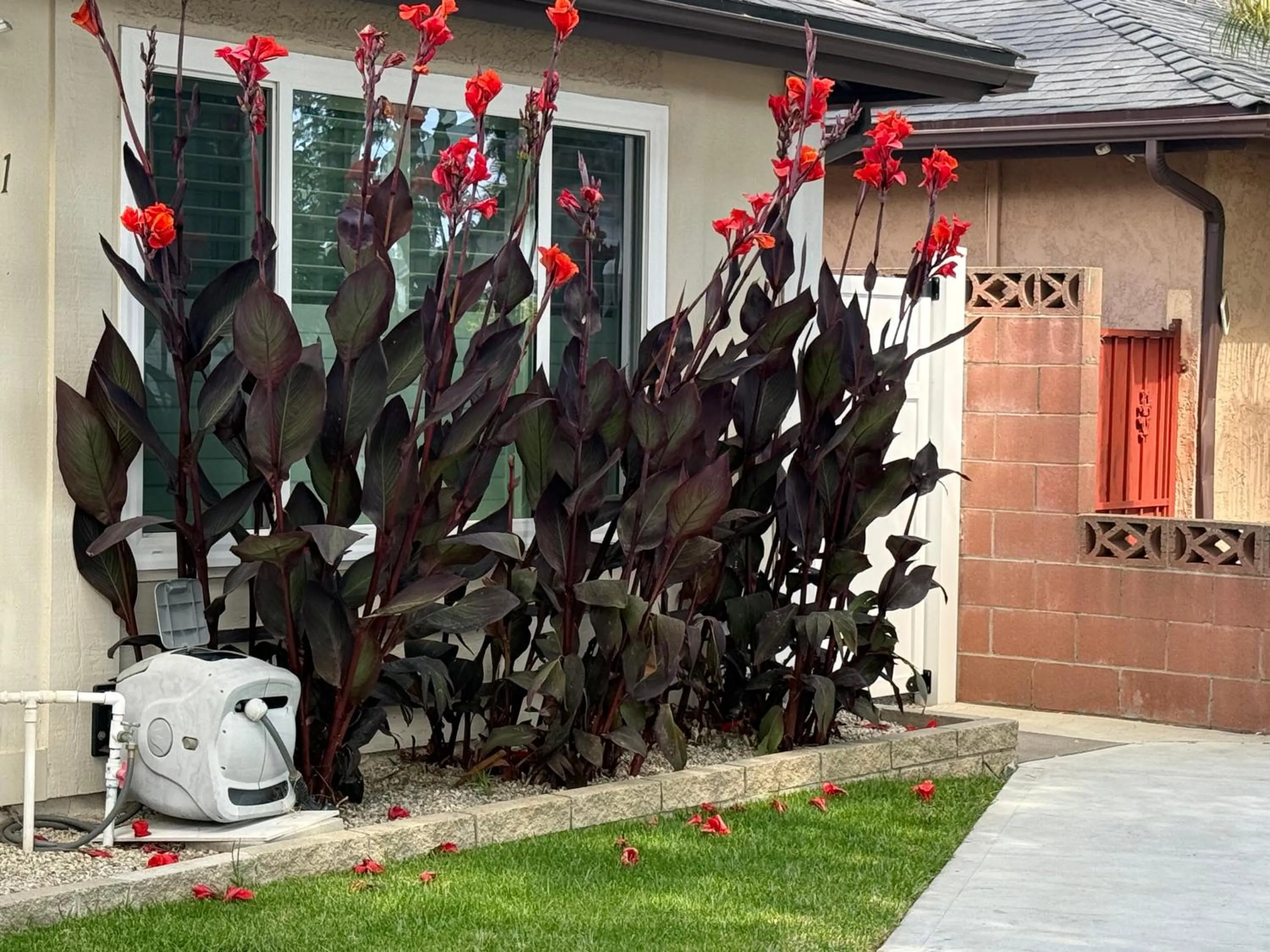 Romantic Coastal Private Room
