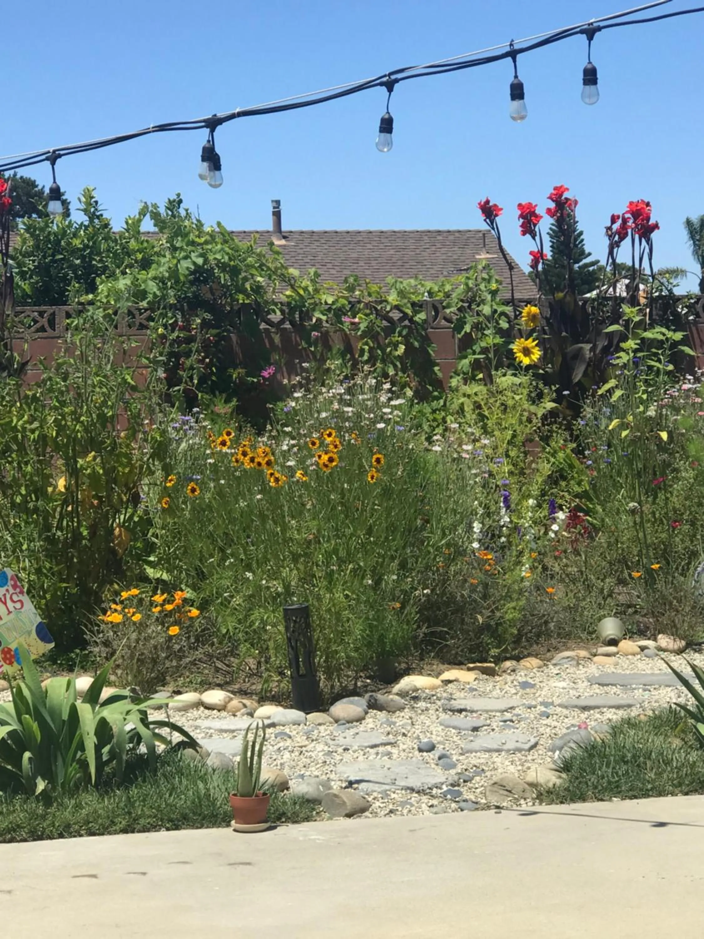 Garden in Romantic Coastal Private Room