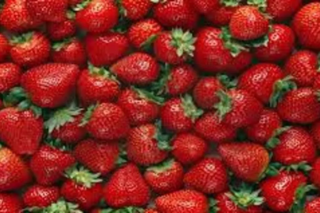 People in Romantic Coastal Private Room