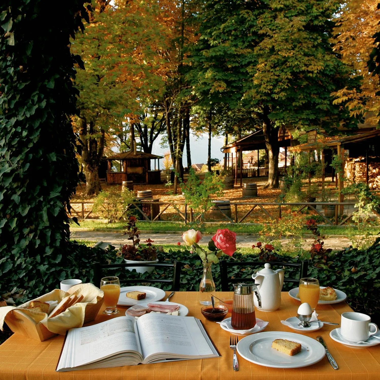 Breakfast in Hotel Galaxias