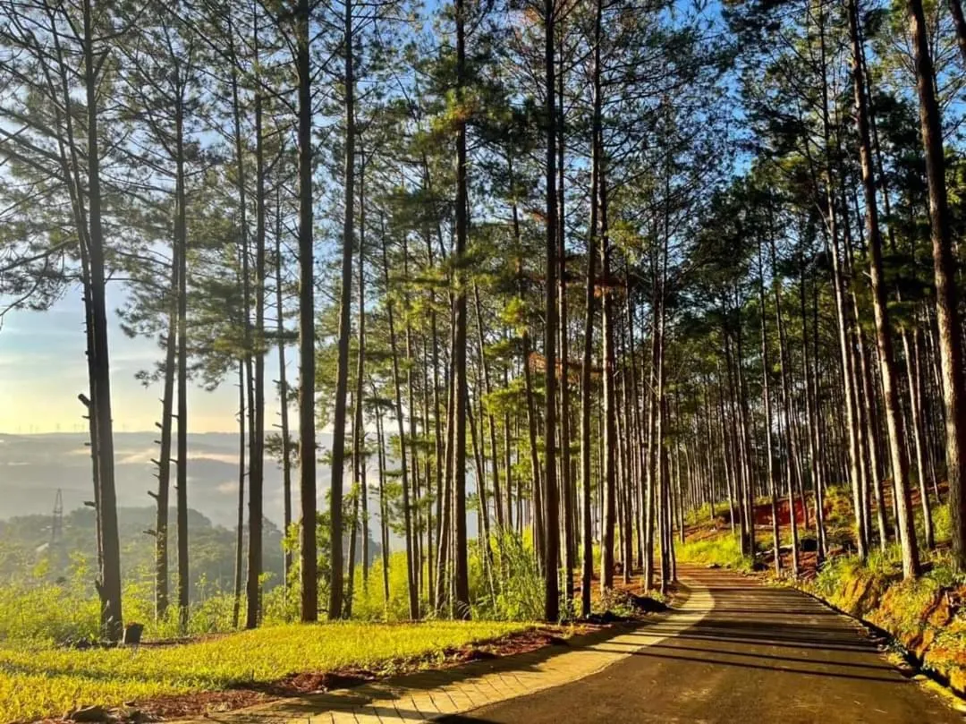 Neighbourhood in Omirita Resort Dalat