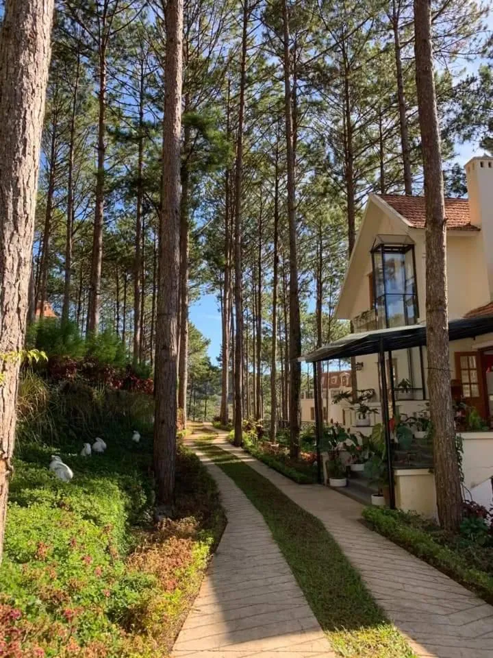 Restaurant/places to eat in Omirita Resort Dalat