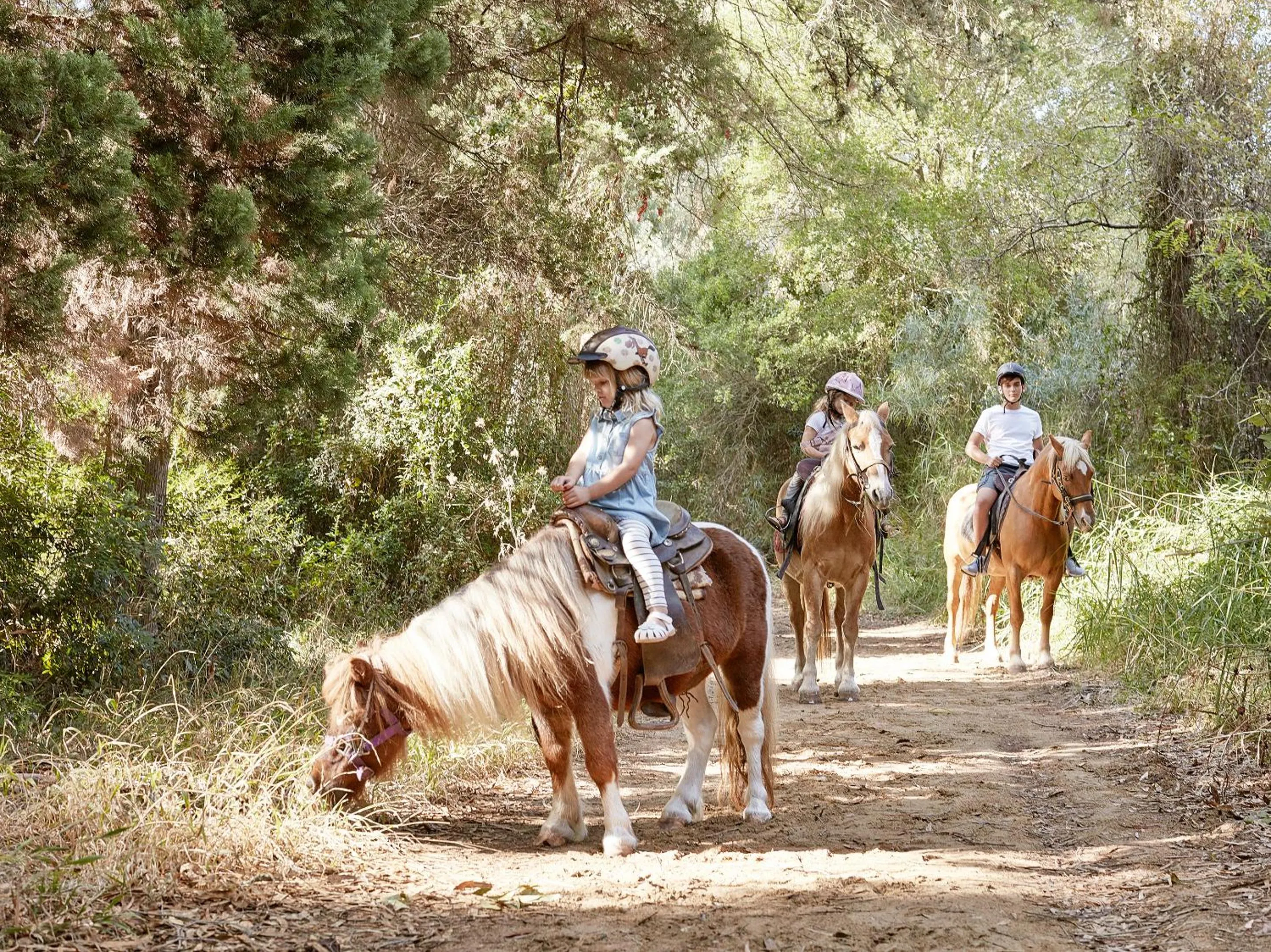 Horse-riding in Mandola Rosa at Riviera Olympia, A Grecotel Resort to Live