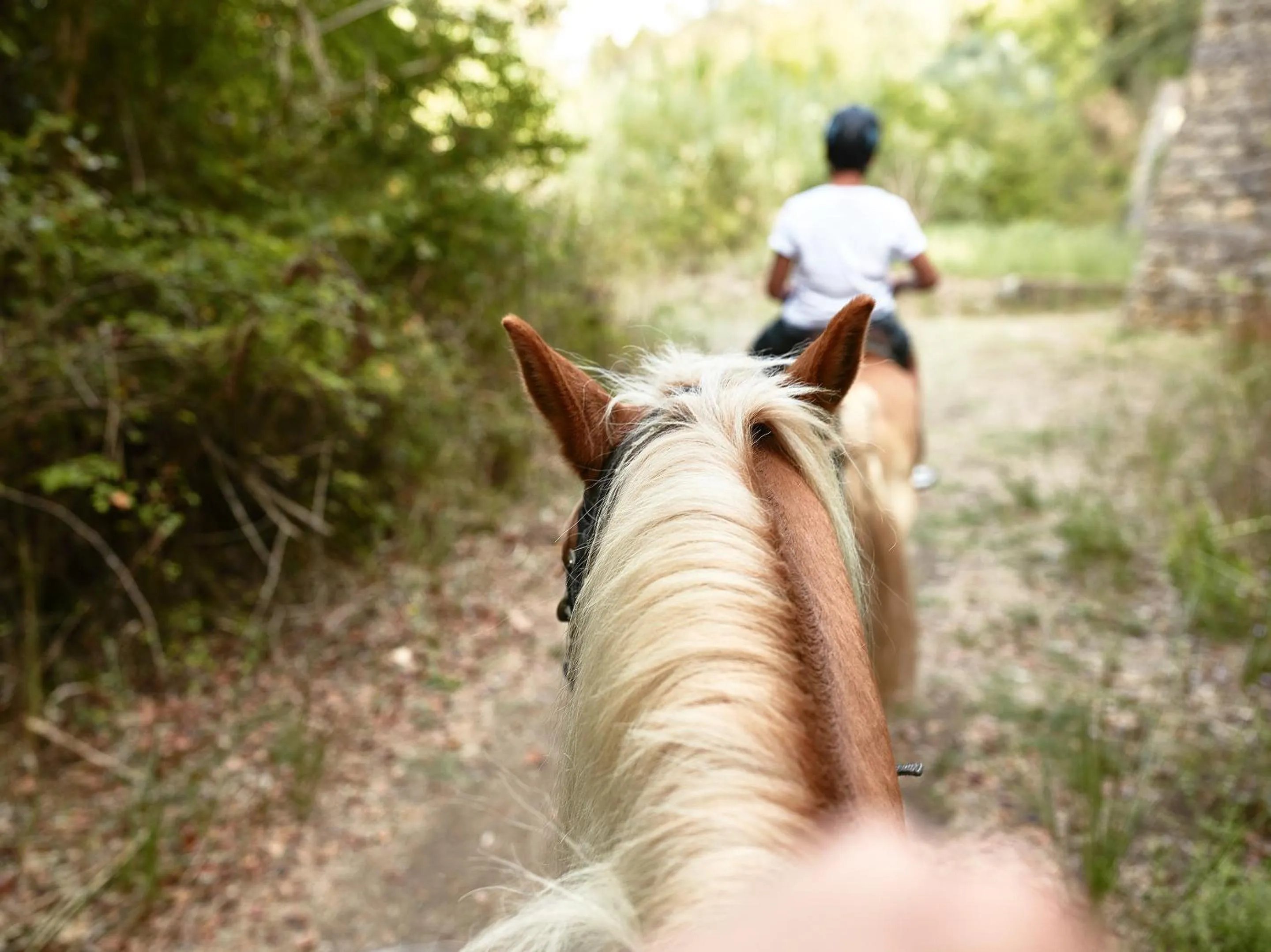 Horse-riding in Mandola Rosa at Riviera Olympia, A Grecotel Resort to Live