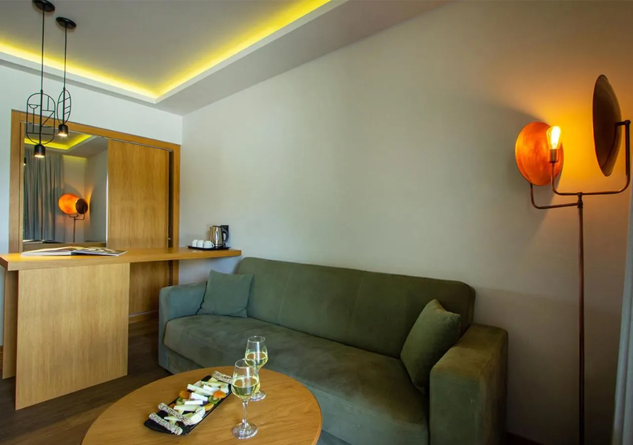 Living room in Zeus Dolce by Wyndham Athens