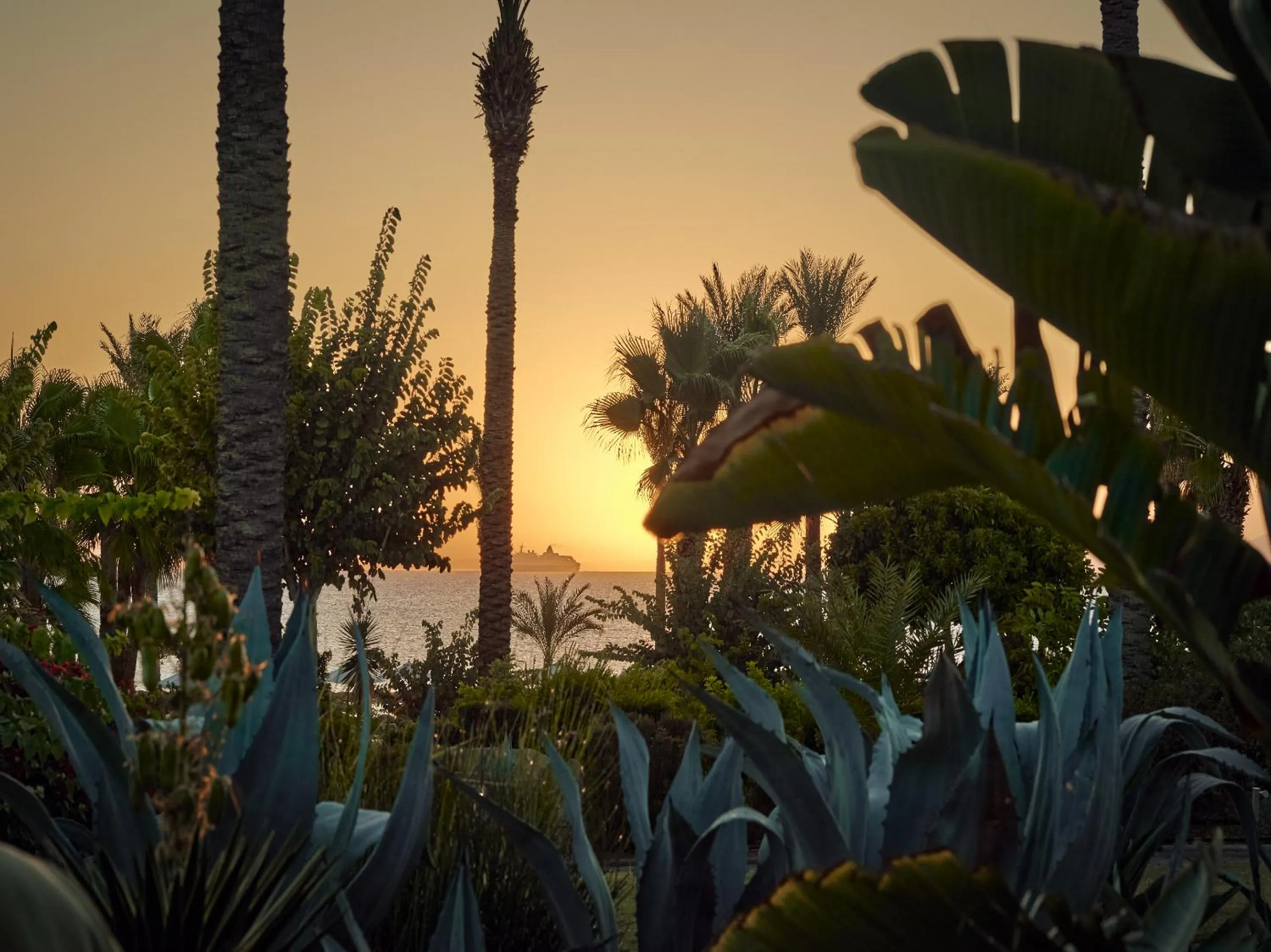 Natural landscape in Grecotel LUXME Kos