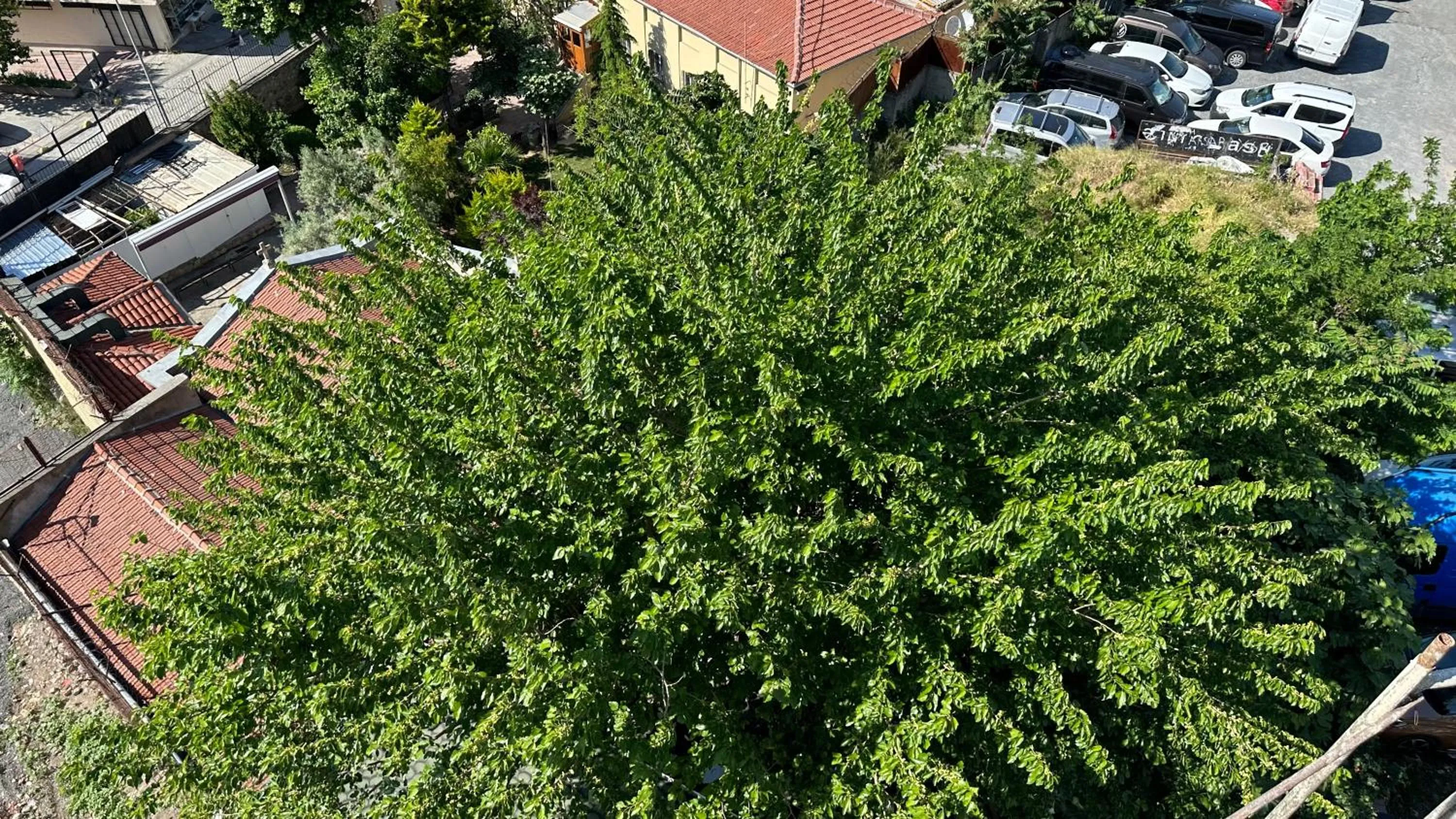 Garden in Mar Boutique Apartment