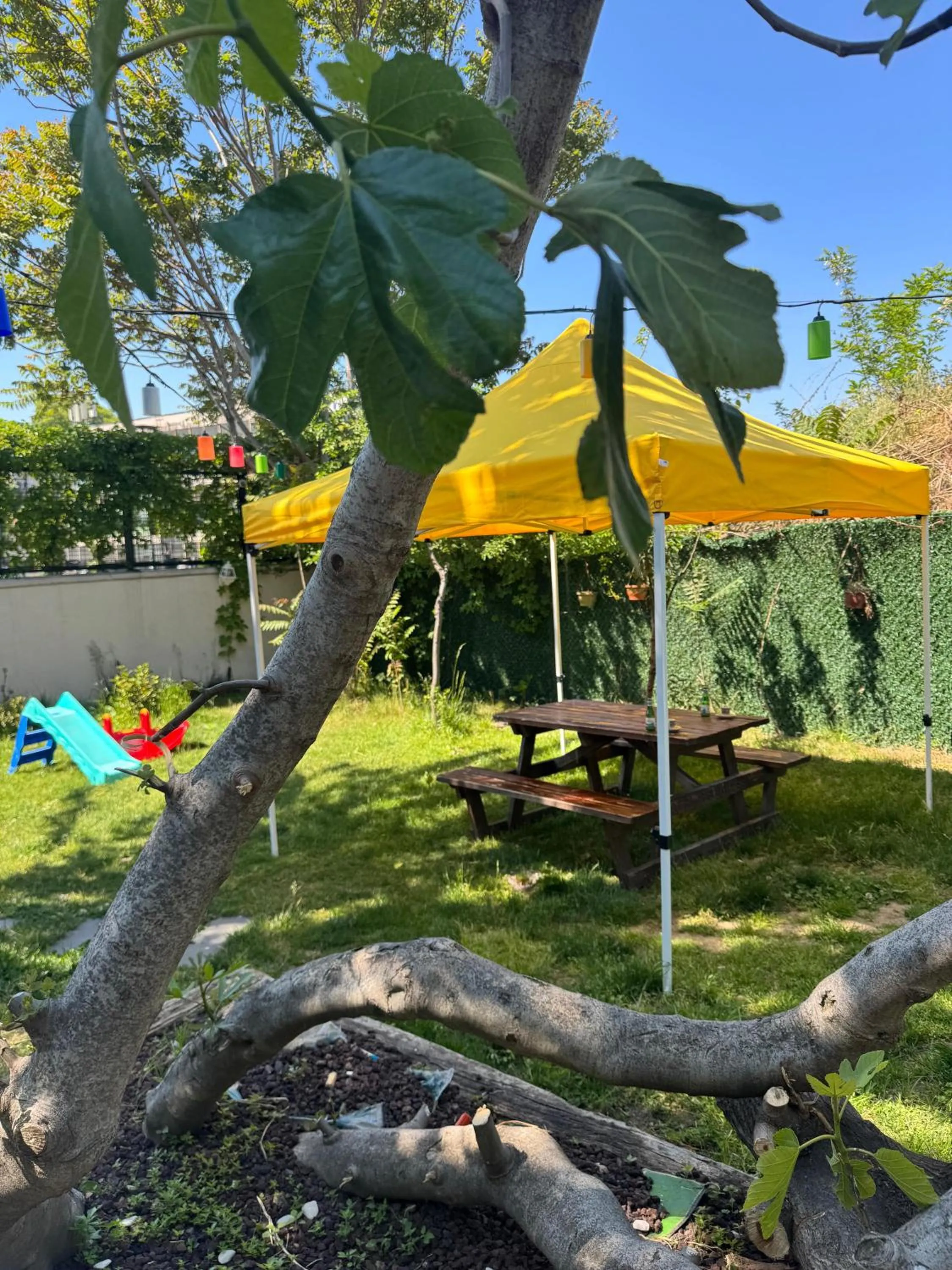 Garden in Mar Boutique Apartment