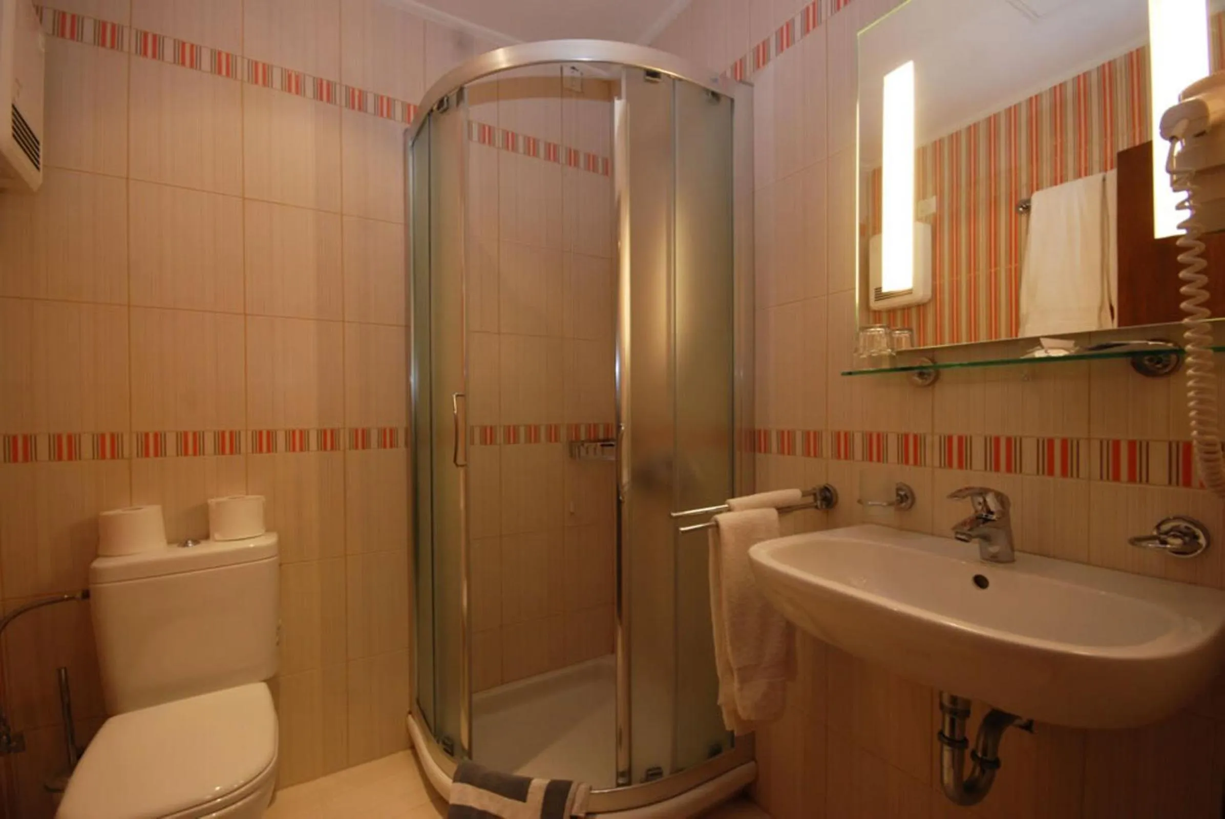 Bathroom in Hotel Elvetia