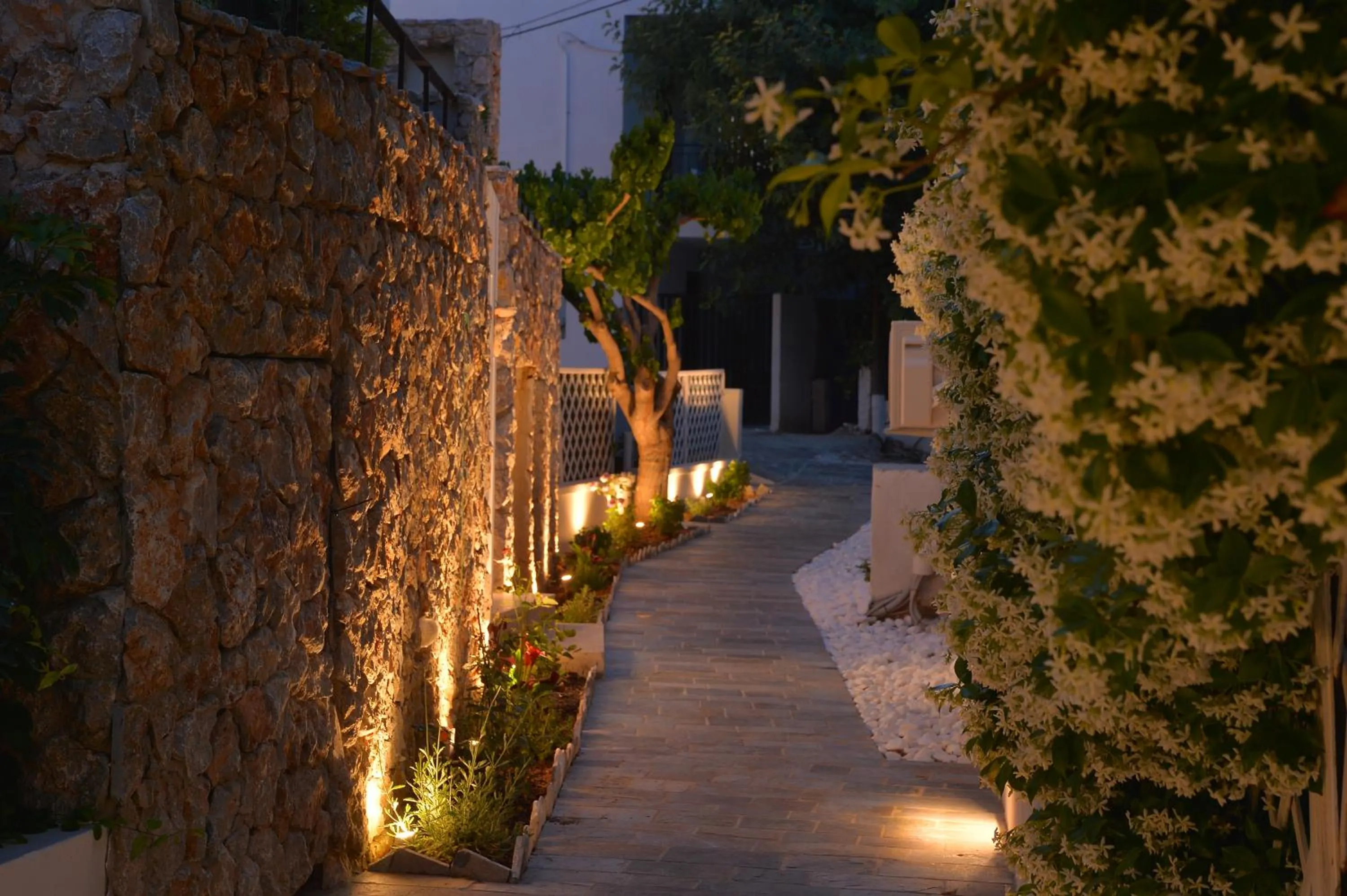 Garden in Aktaion Beach Boutique Hotel & Spa