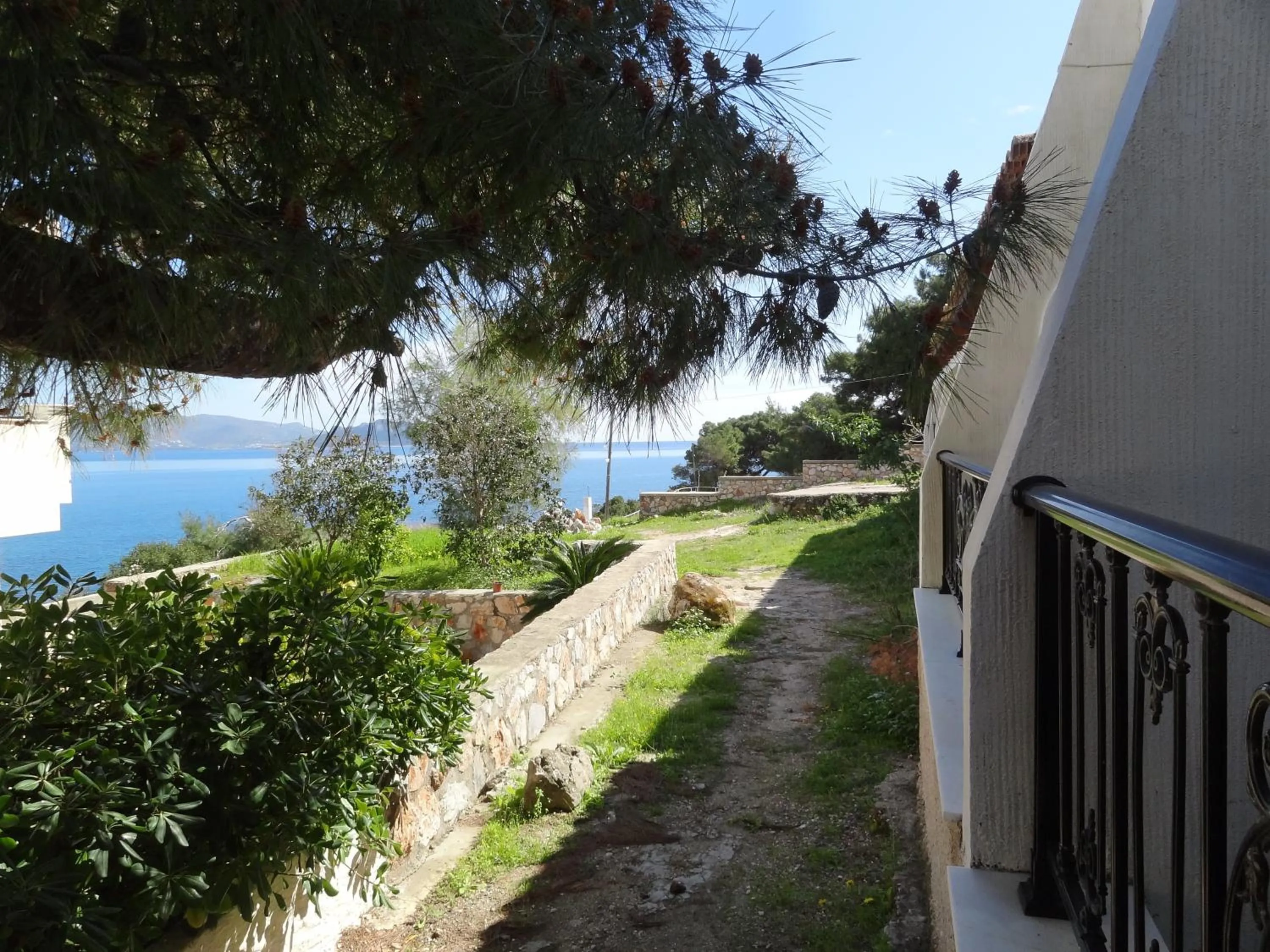 Garden in Dionysos Hotel