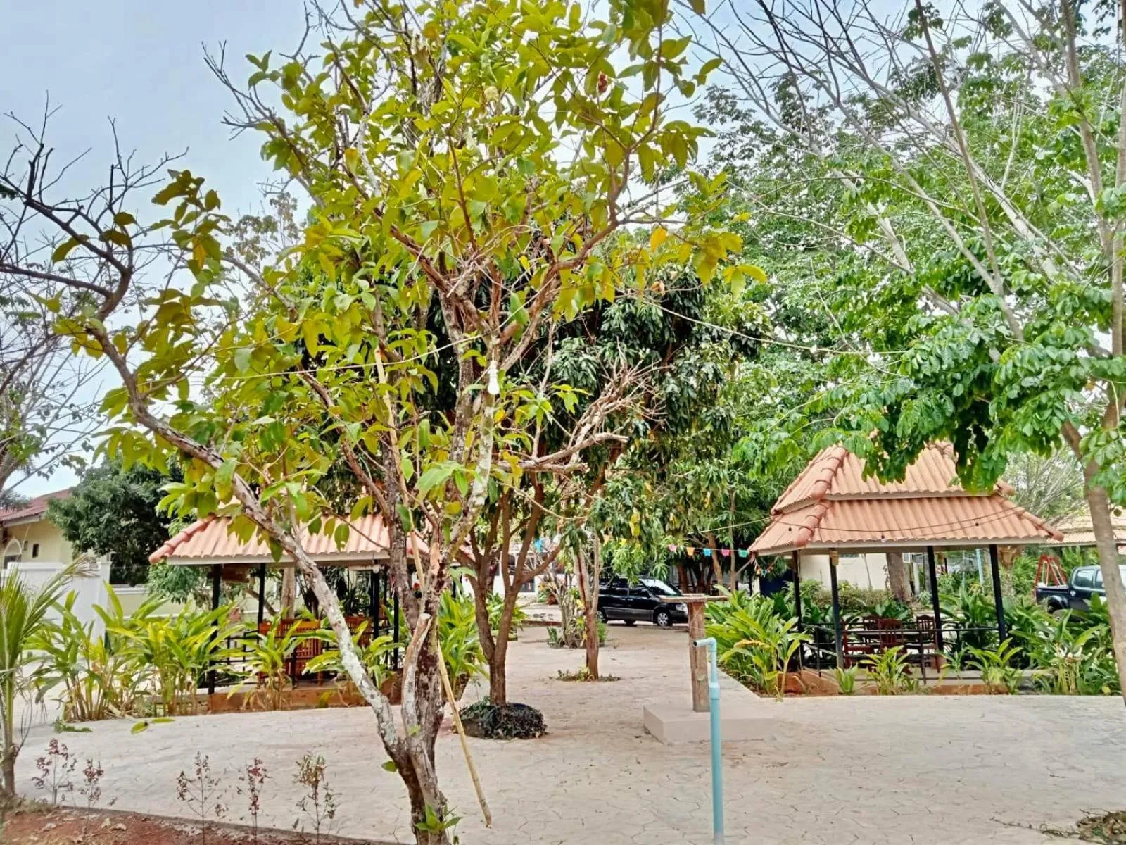 Spring in Erawan Guesthouse