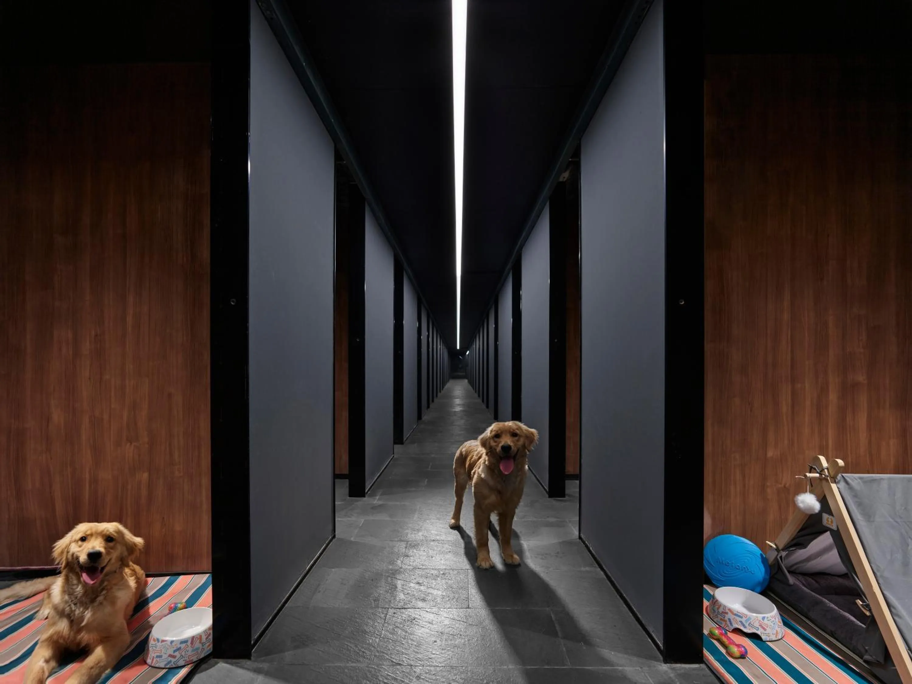 Animals in Angsana Chengdu Wenjiang