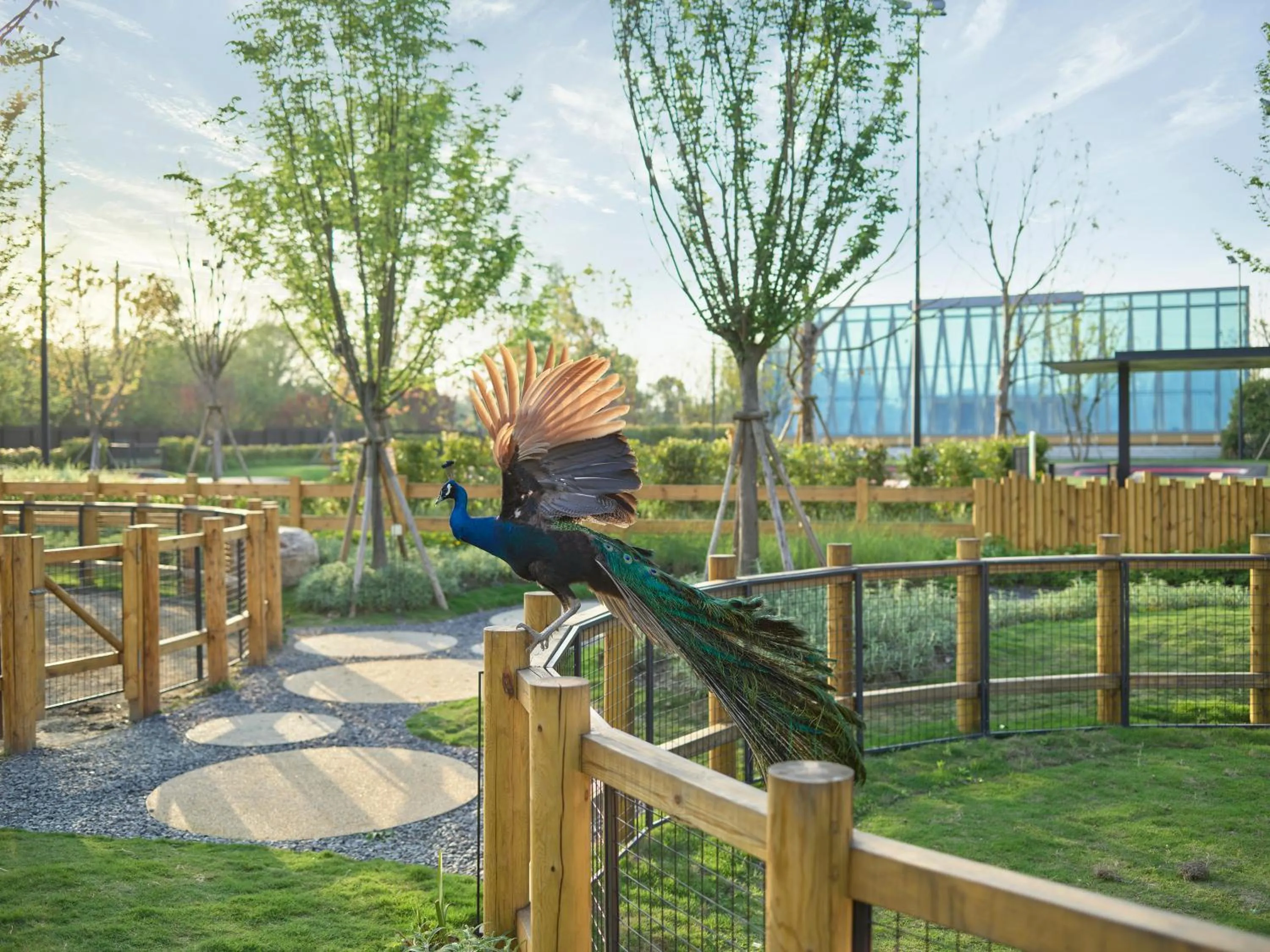 Animals in Angsana Chengdu Wenjiang