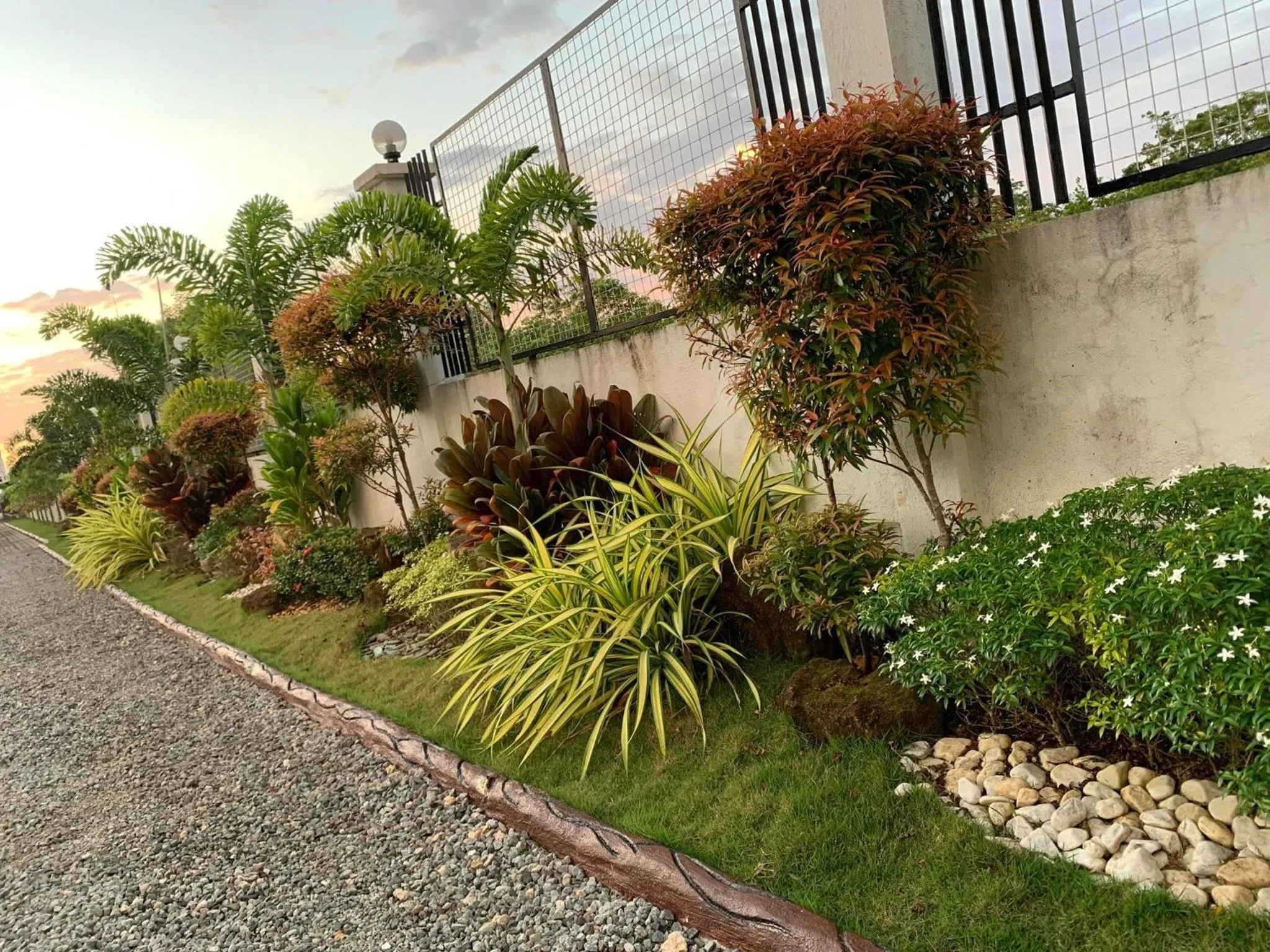 Garden in Sunshine Stay Panglao