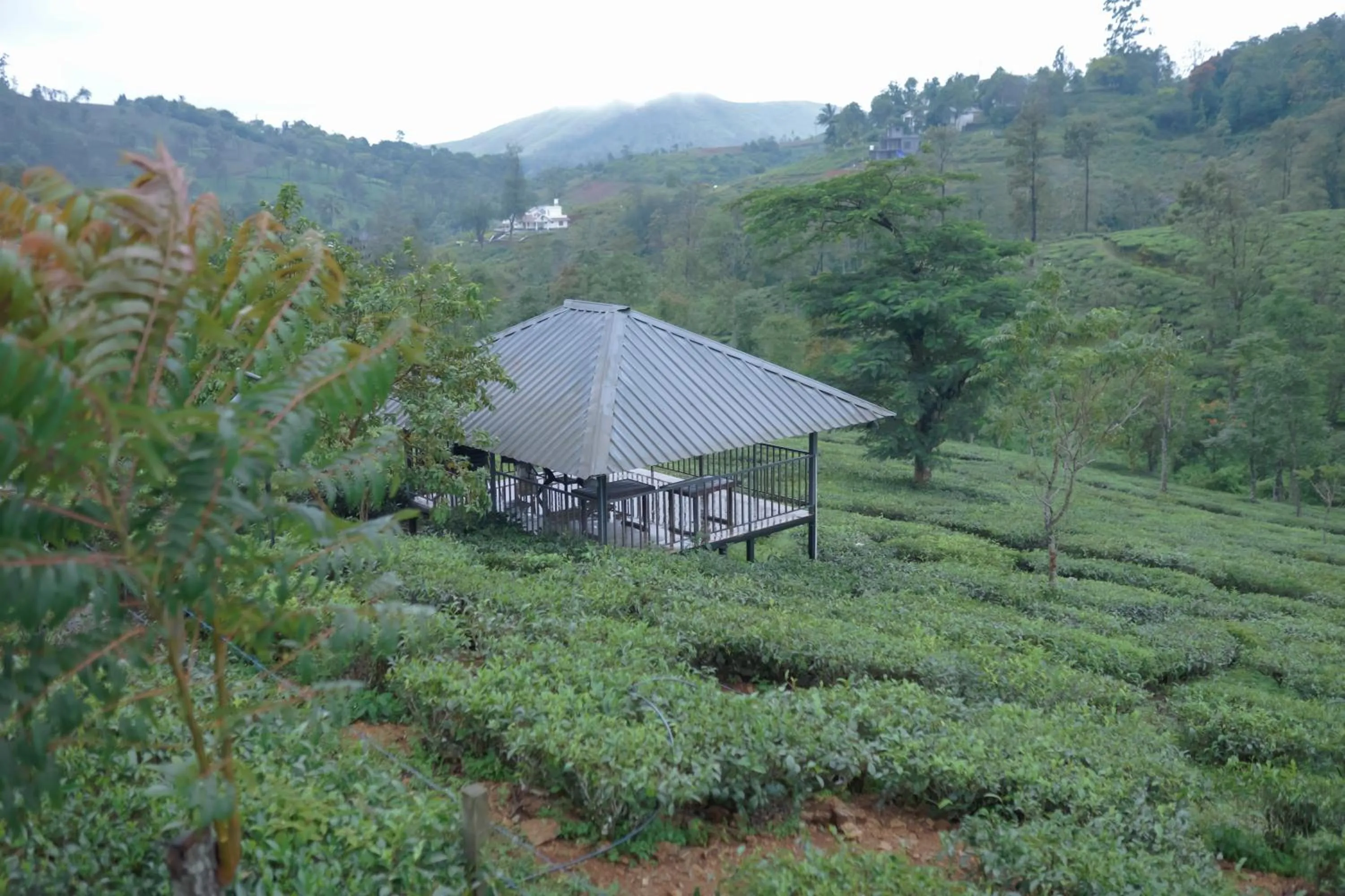 Day in PEKOE Plantation Cottages by LexStays
