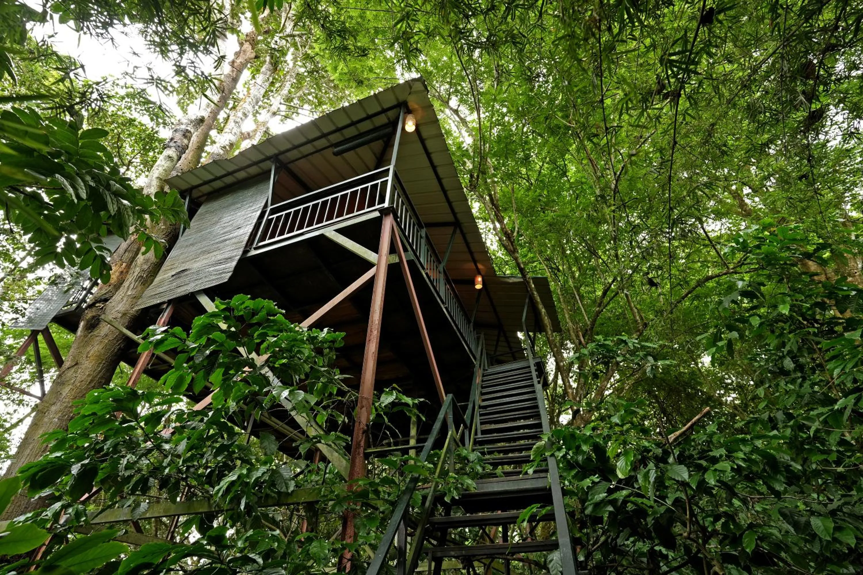 Property building in Coffee Acres Resort