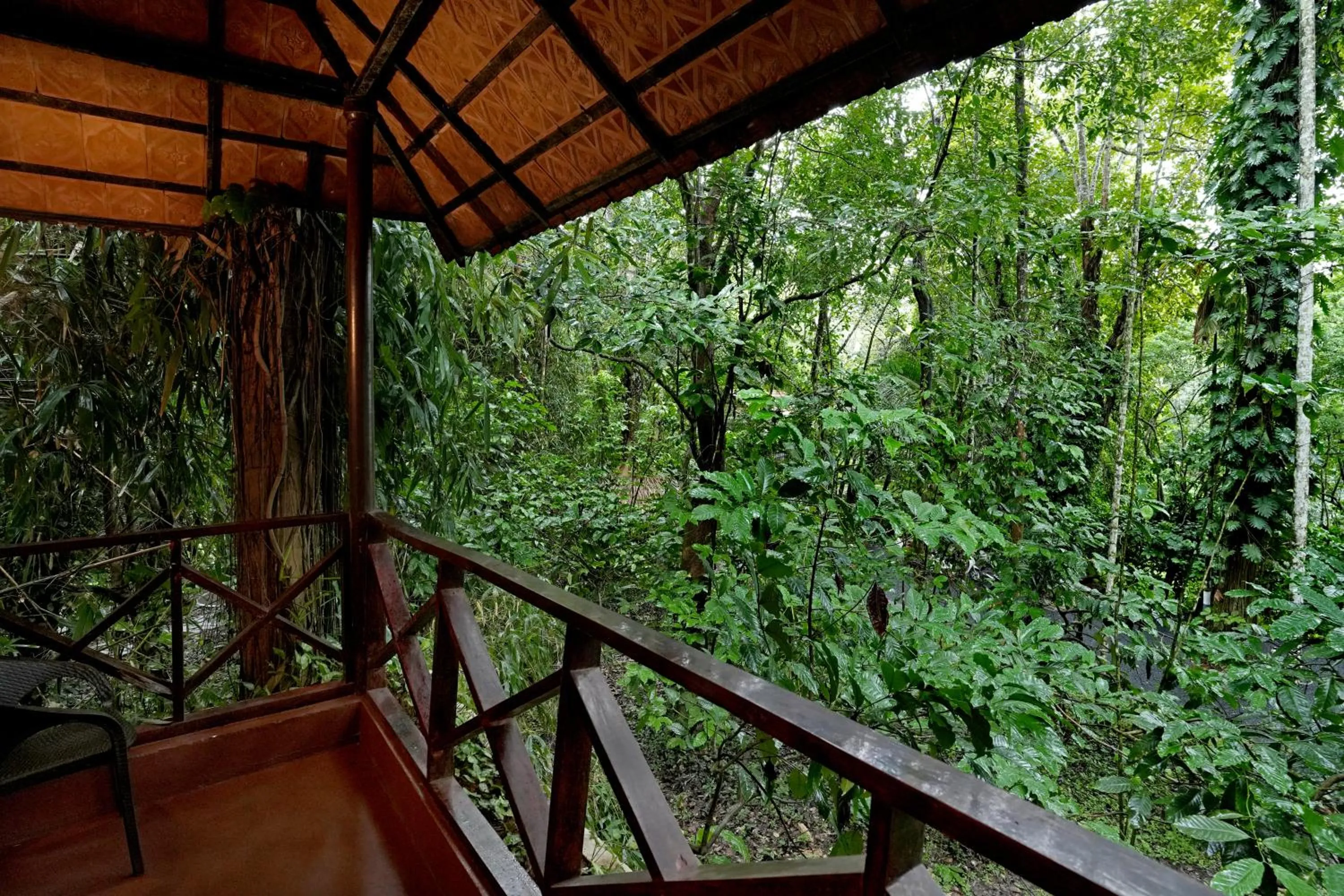 View (from property/room) in Coffee Acres Resort