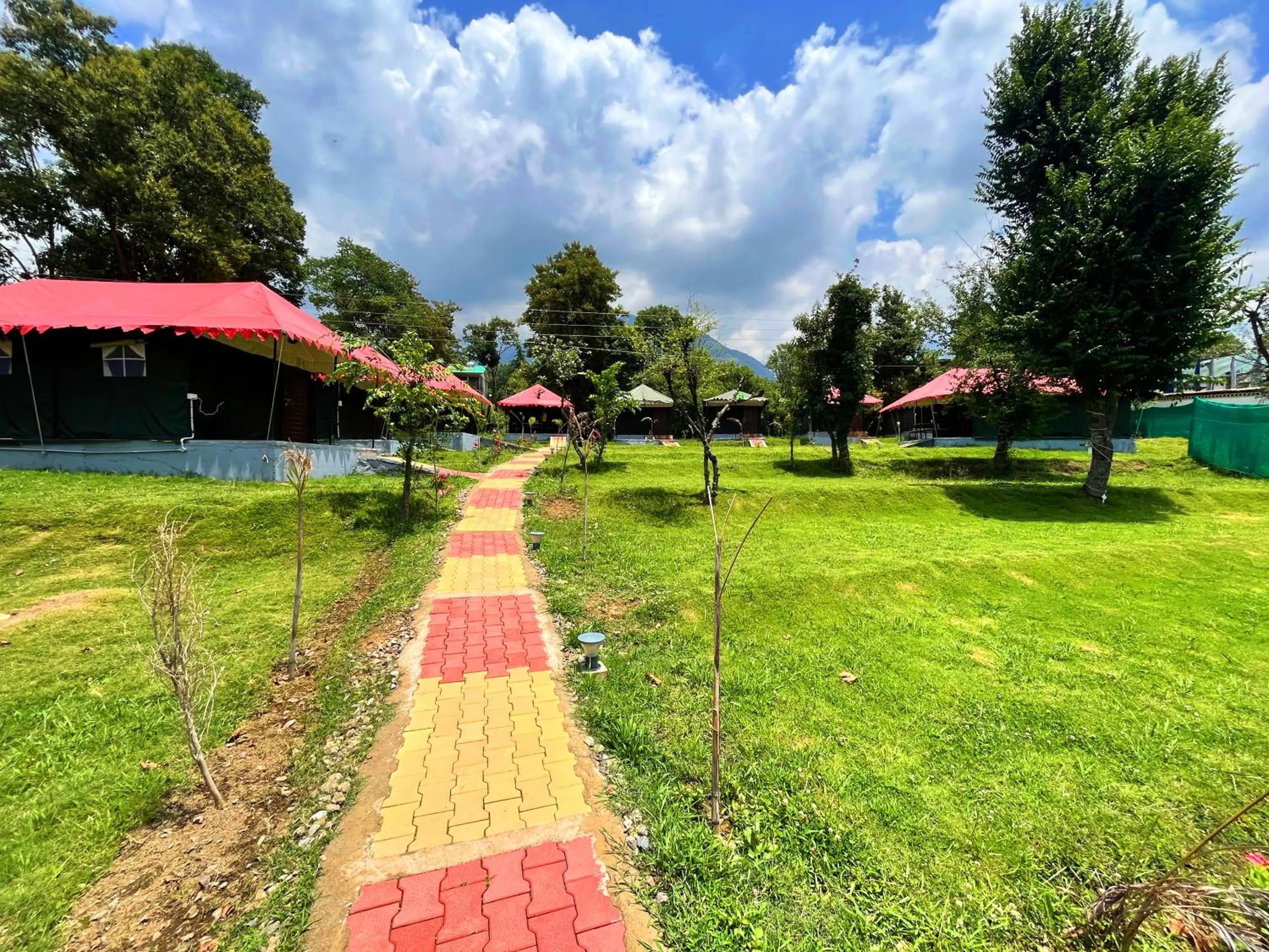 Spring in Imilia Camps