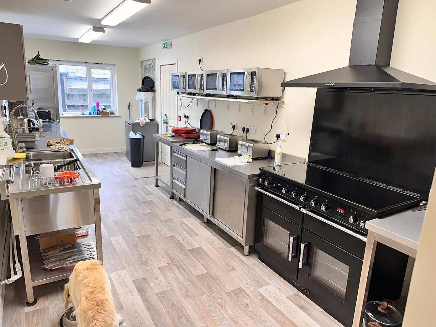 Other in Forces Manor