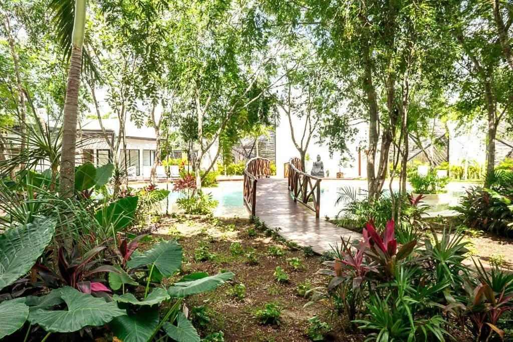 DK31 Wifi 600mb, Cheap Scooters by Moikkarentals