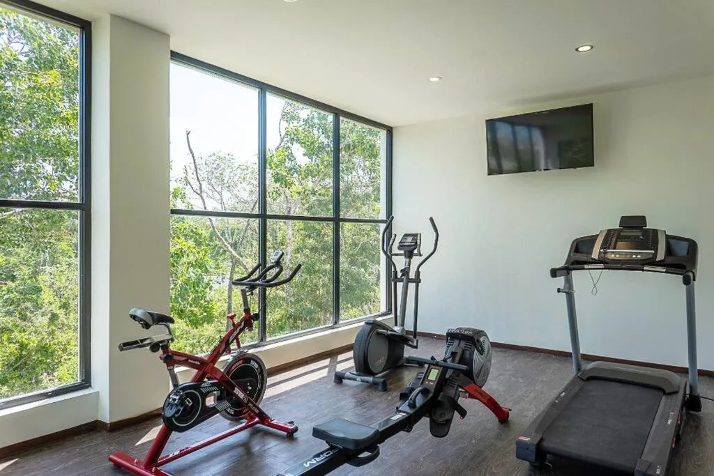 DK31 Wifi 600mb, Cheap Scooters by Moikkarentals