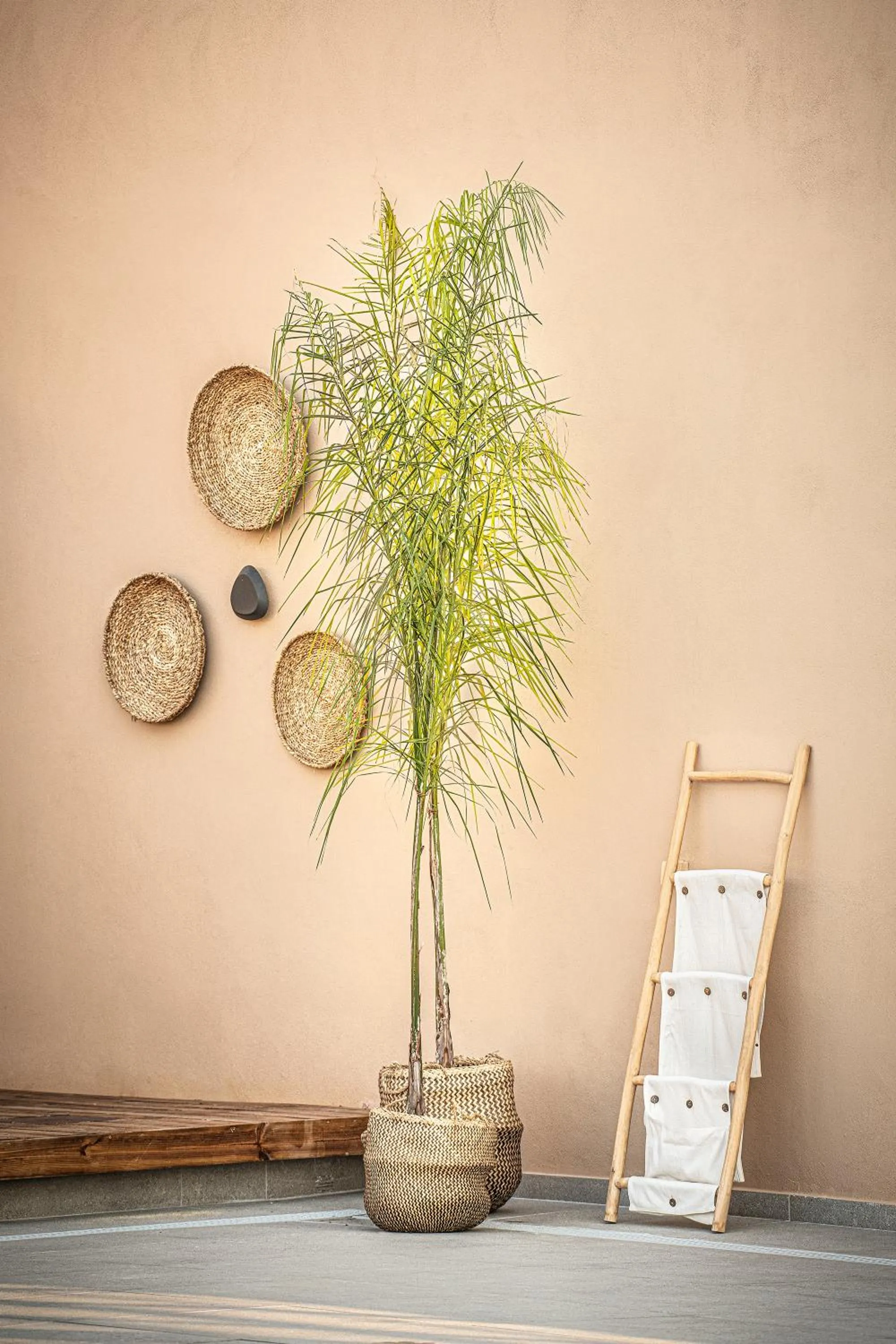 Decorative detail in Sea View Hotel & Apartments