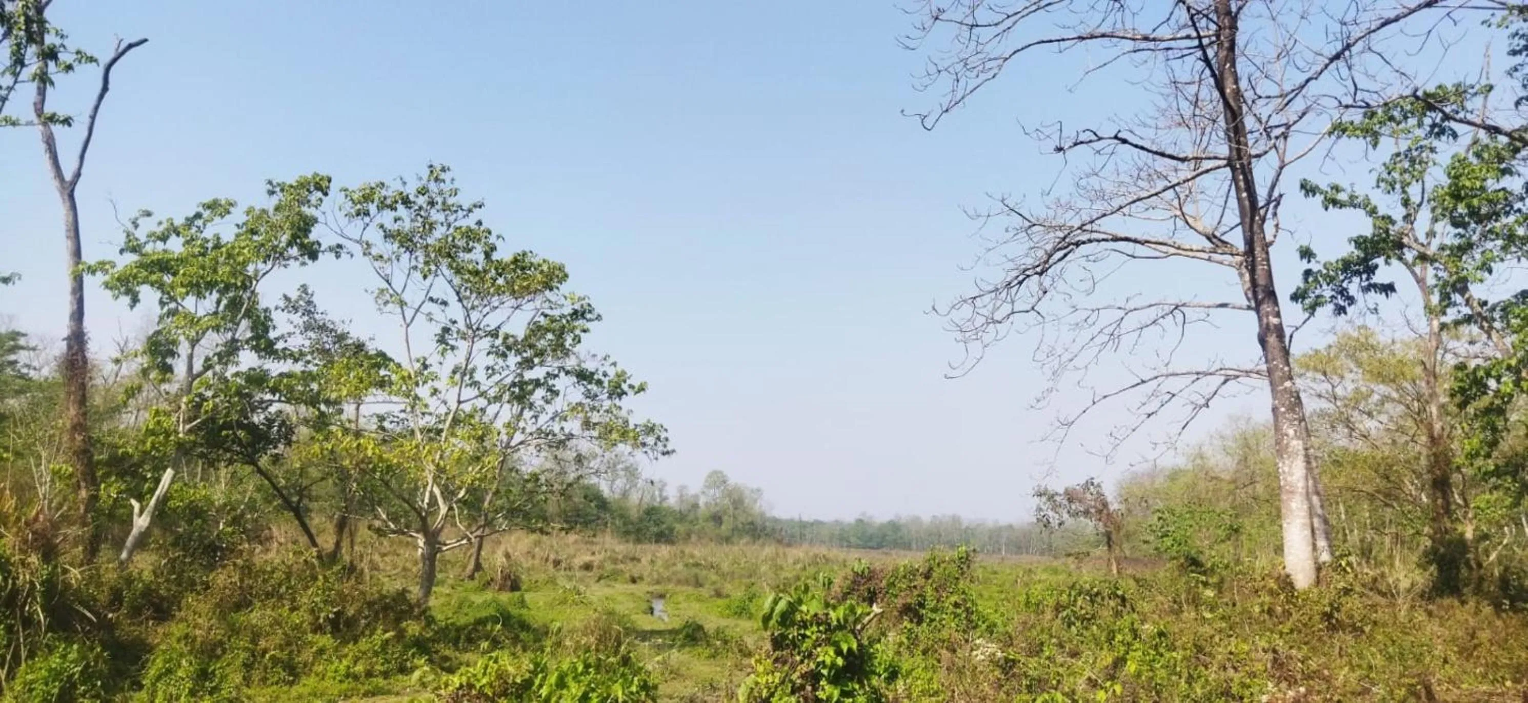 Natural landscape in Sauraha Holiday Home Riverside by managed Hotel Surya Adventure