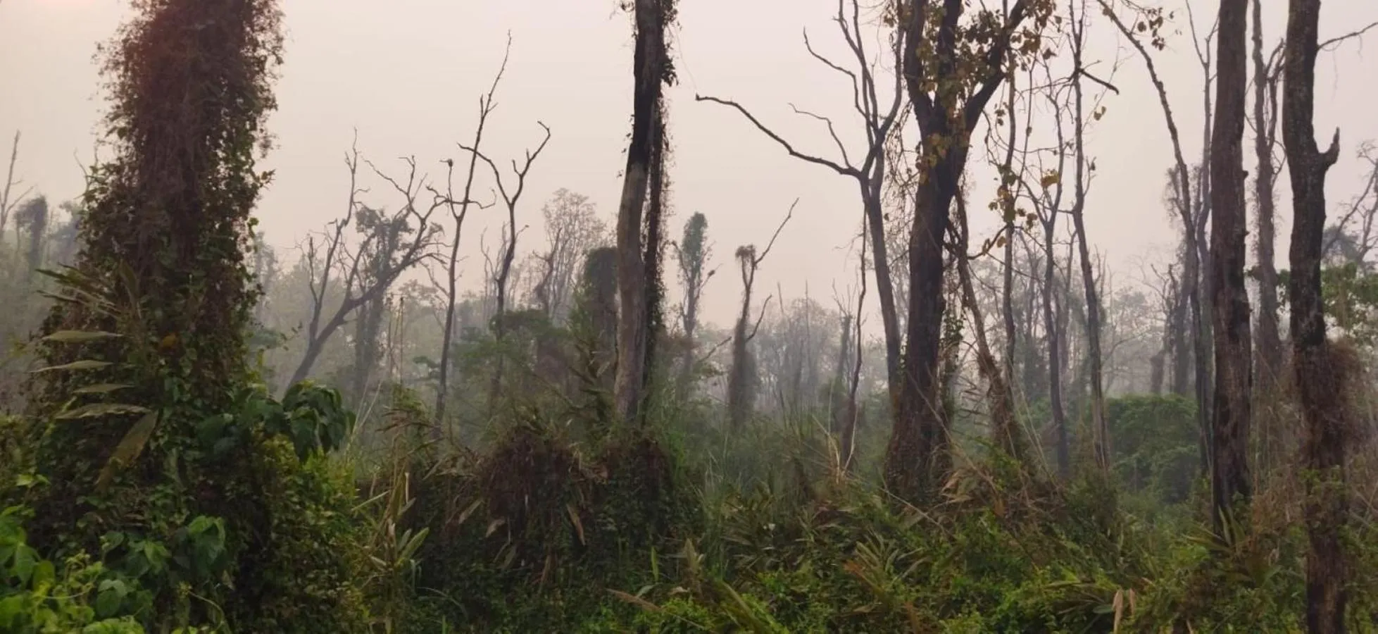 Off site in Sauraha Holiday Home Riverside by managed Hotel Surya Adventure