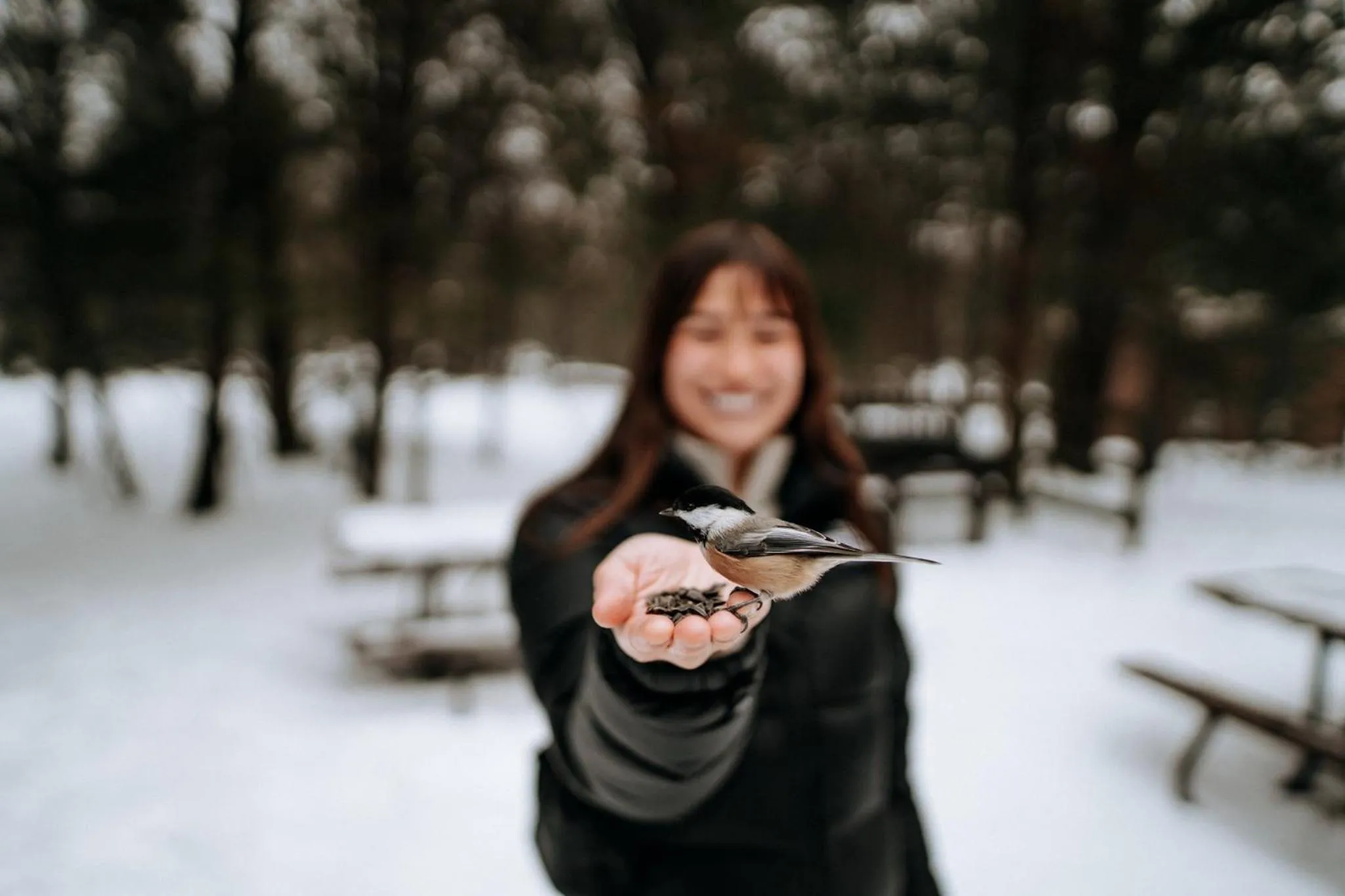 Nearby landmark in Holiday Inn Express - Strathroy by IHG