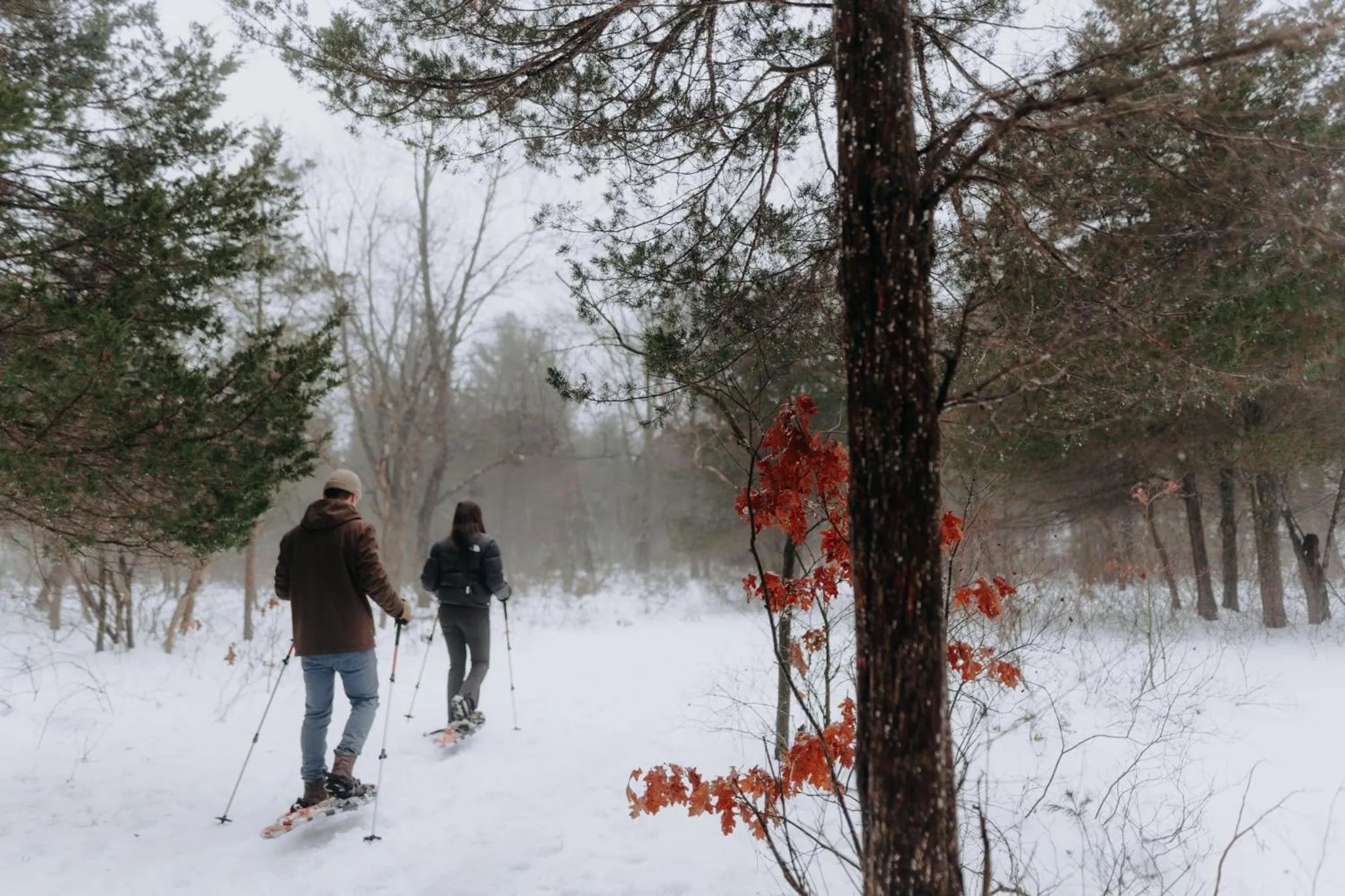 Nearby landmark in Holiday Inn Express - Strathroy by IHG