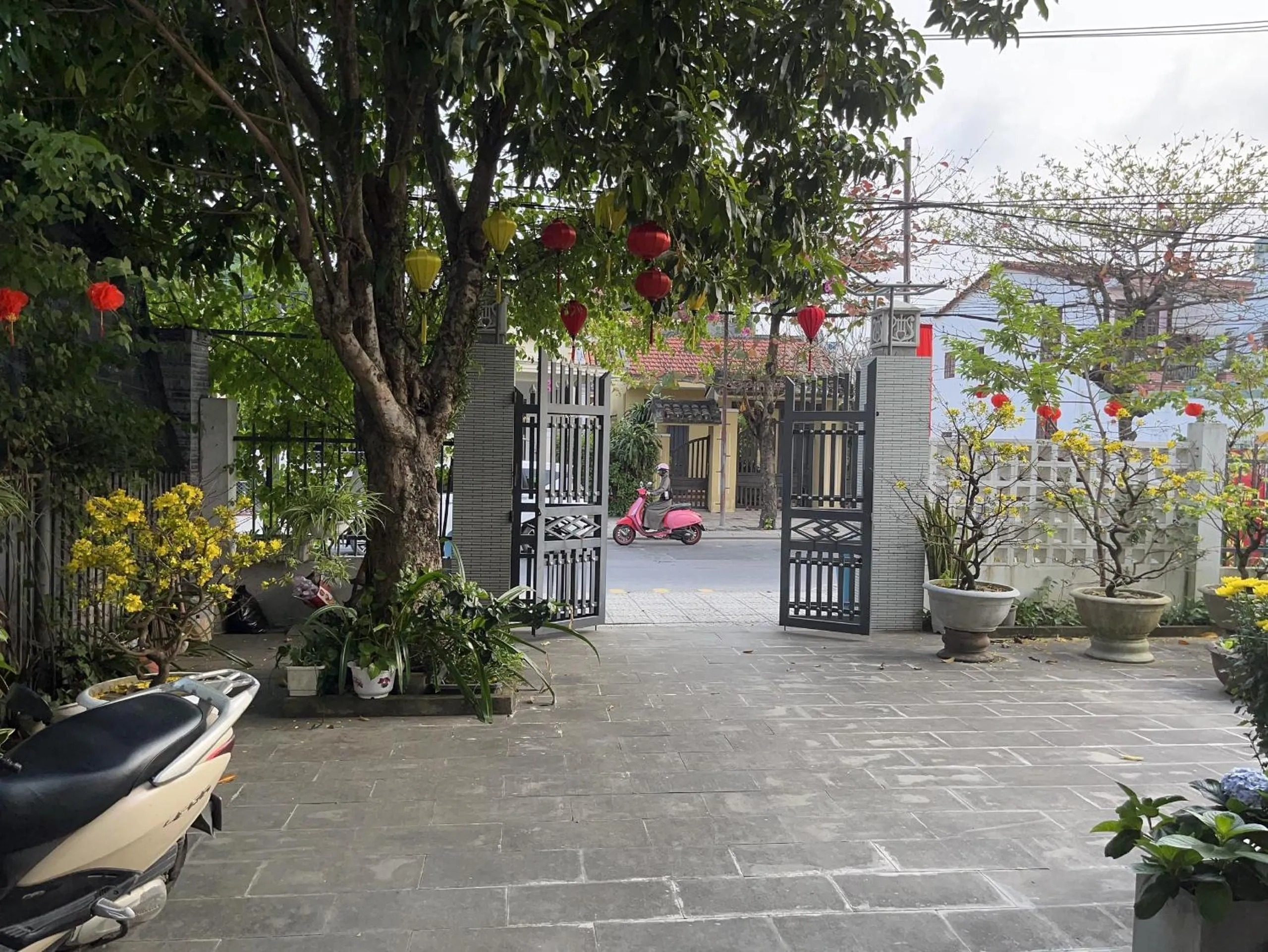 Garden in Homestay Phương House