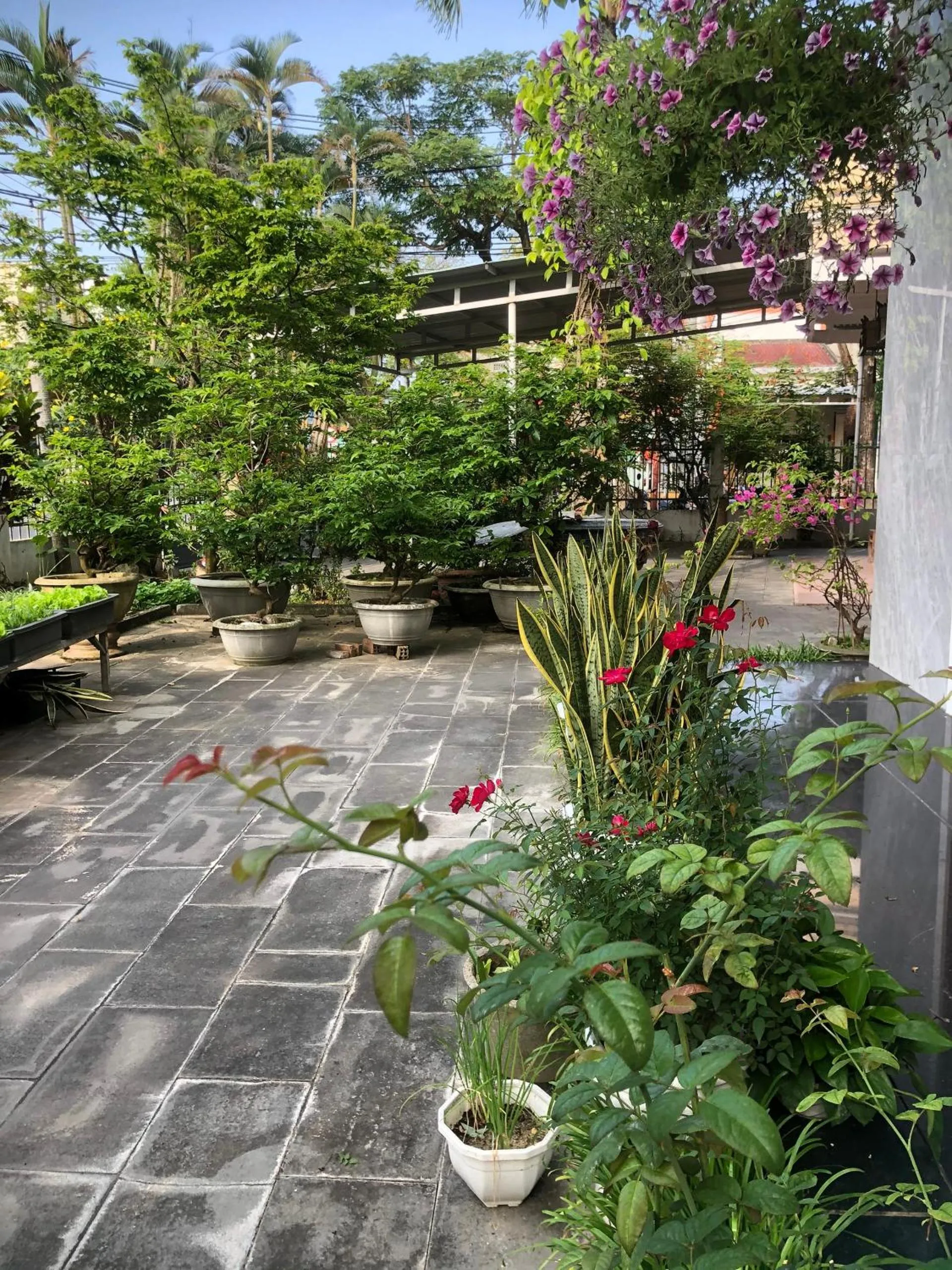 Day in Homestay Phương House