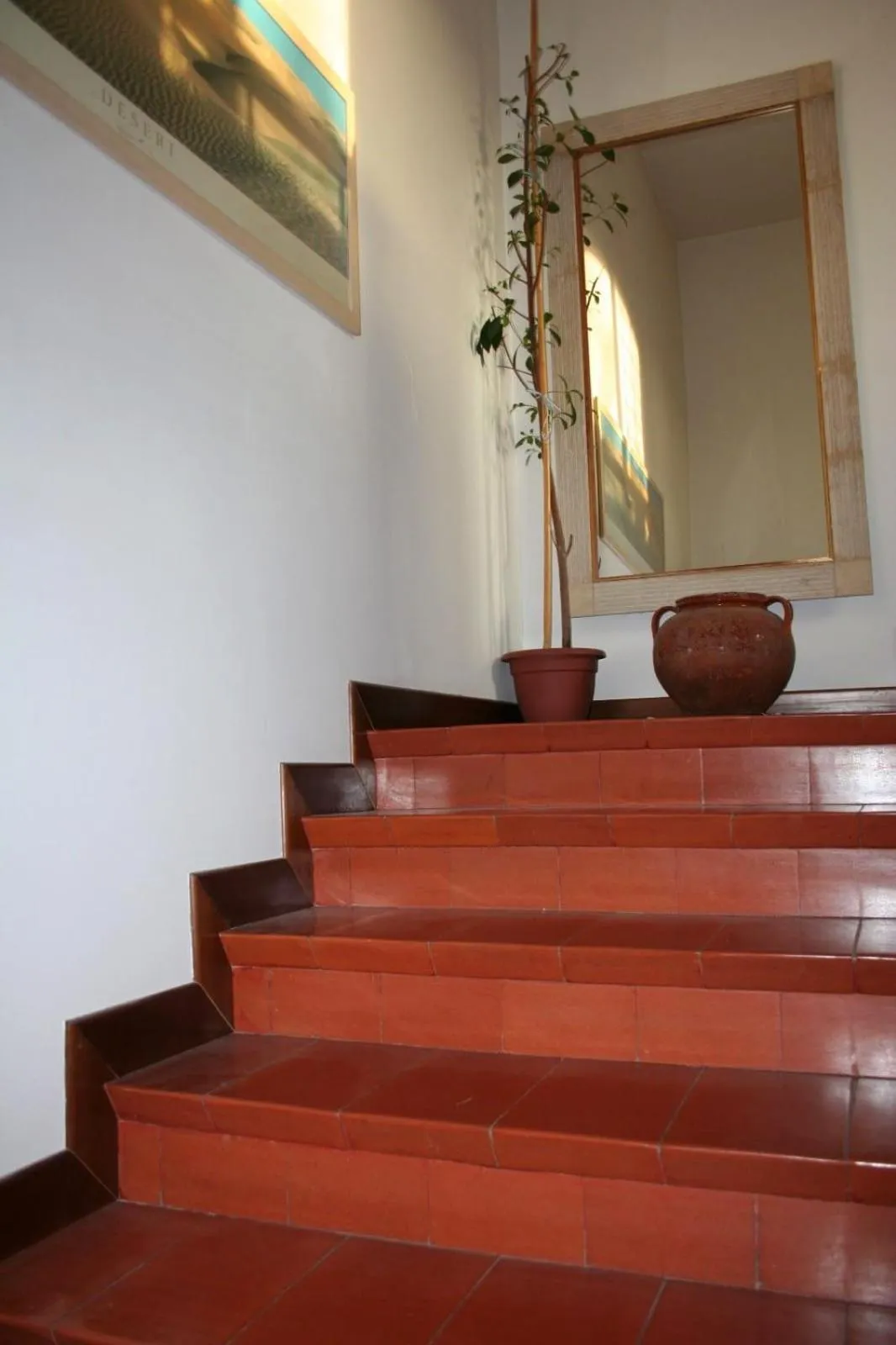 B&B Parco degli Ulivi