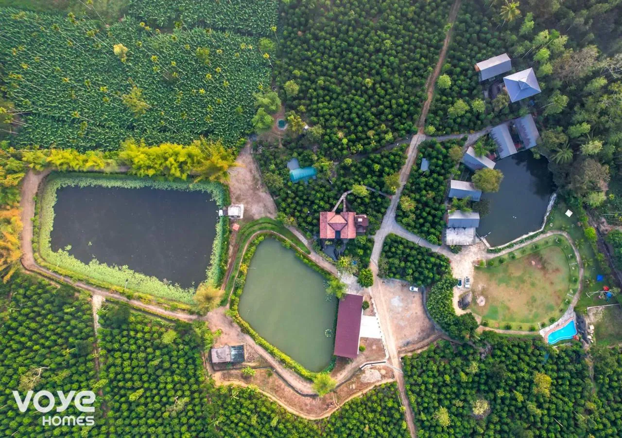 Property building in Niyatma Wayanad Pool Resort by VOYE HOMES - Inside Coffee Plantation
