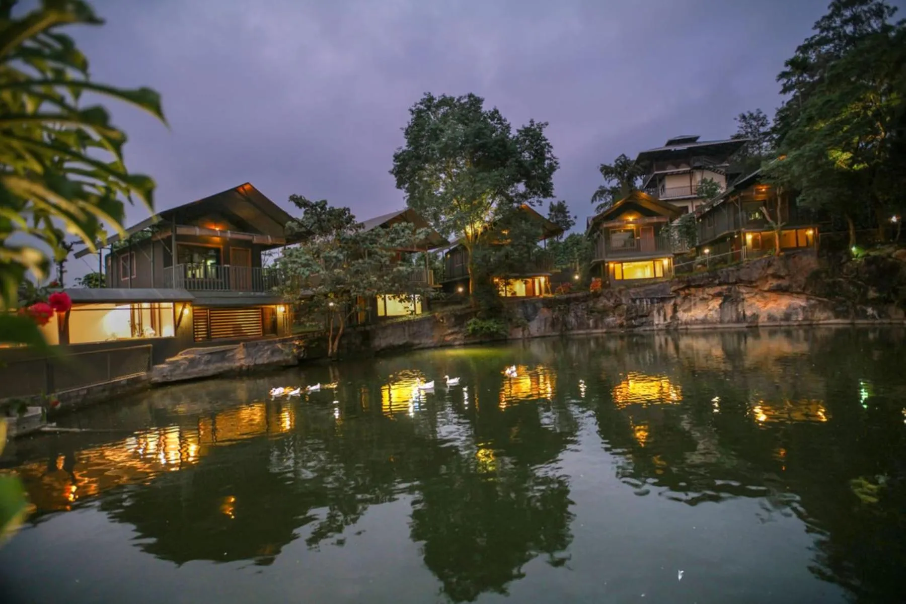 Property building in Niyatma Wayanad Pool Resort by VOYE HOMES - Inside Coffee Plantation