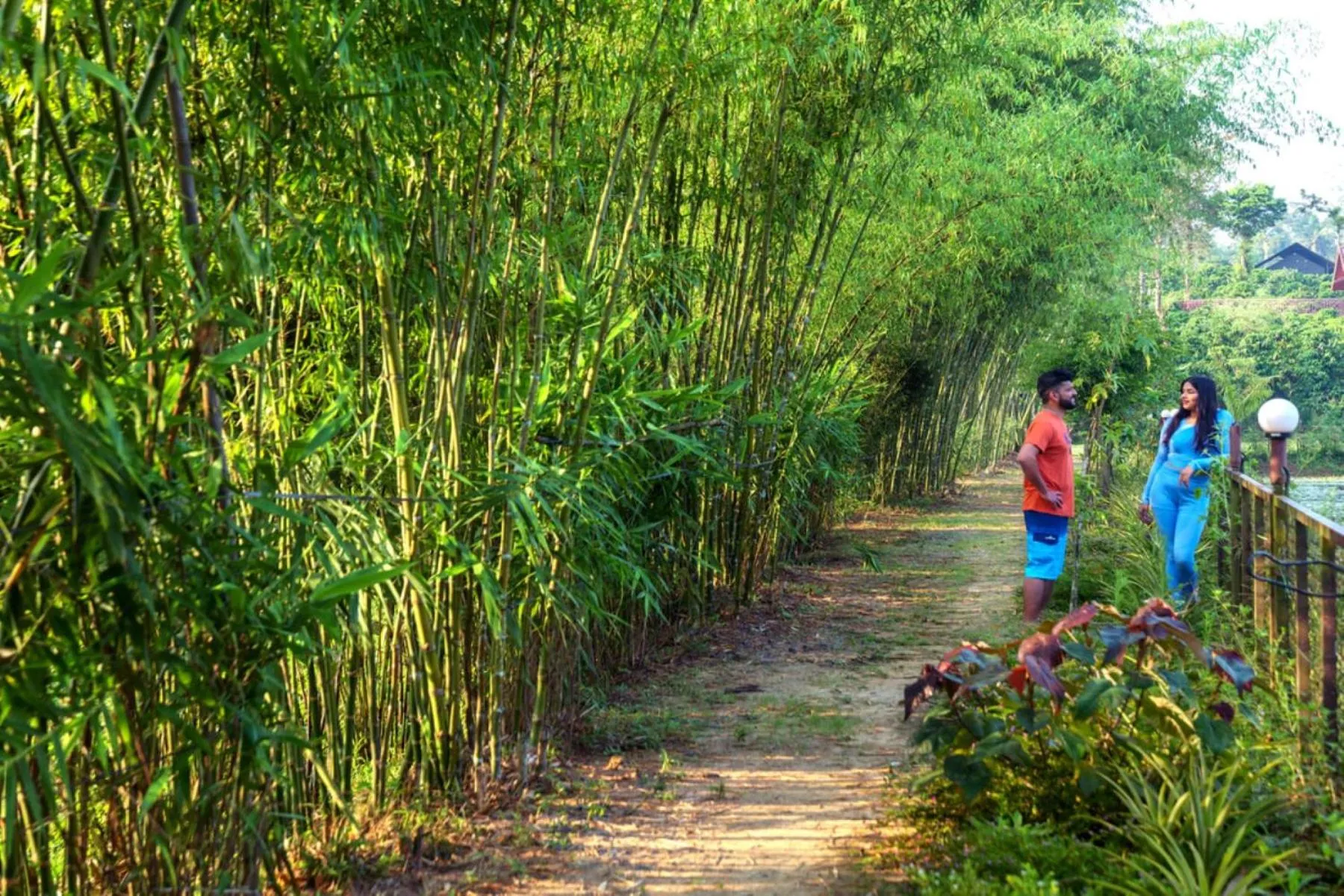 Garden in Niyatma Wayanad Pool Resort by VOYE HOMES - Inside Coffee Plantation